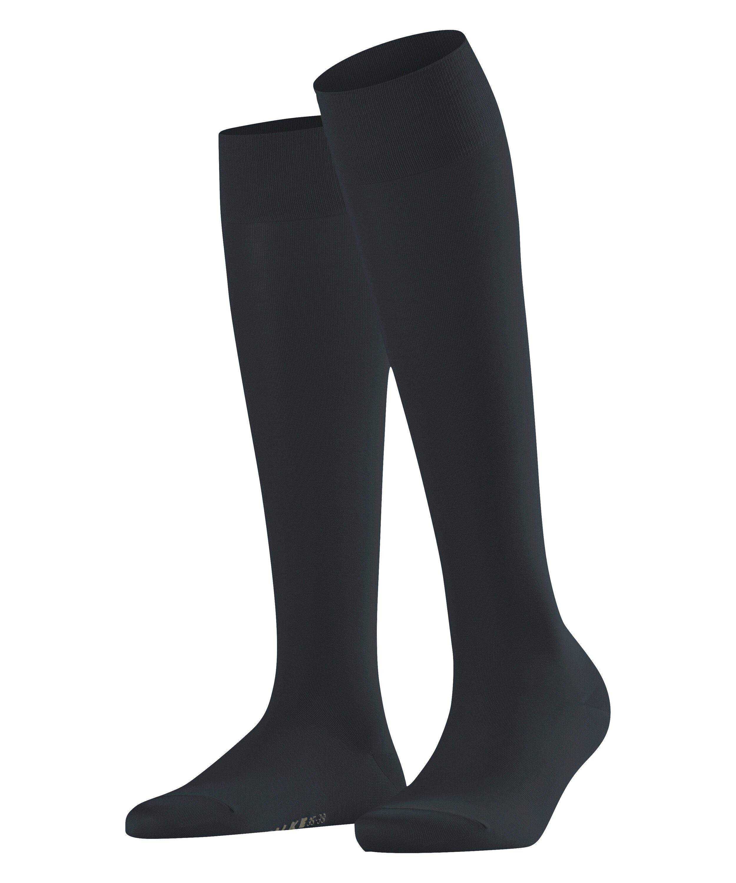 graphite (3146)
