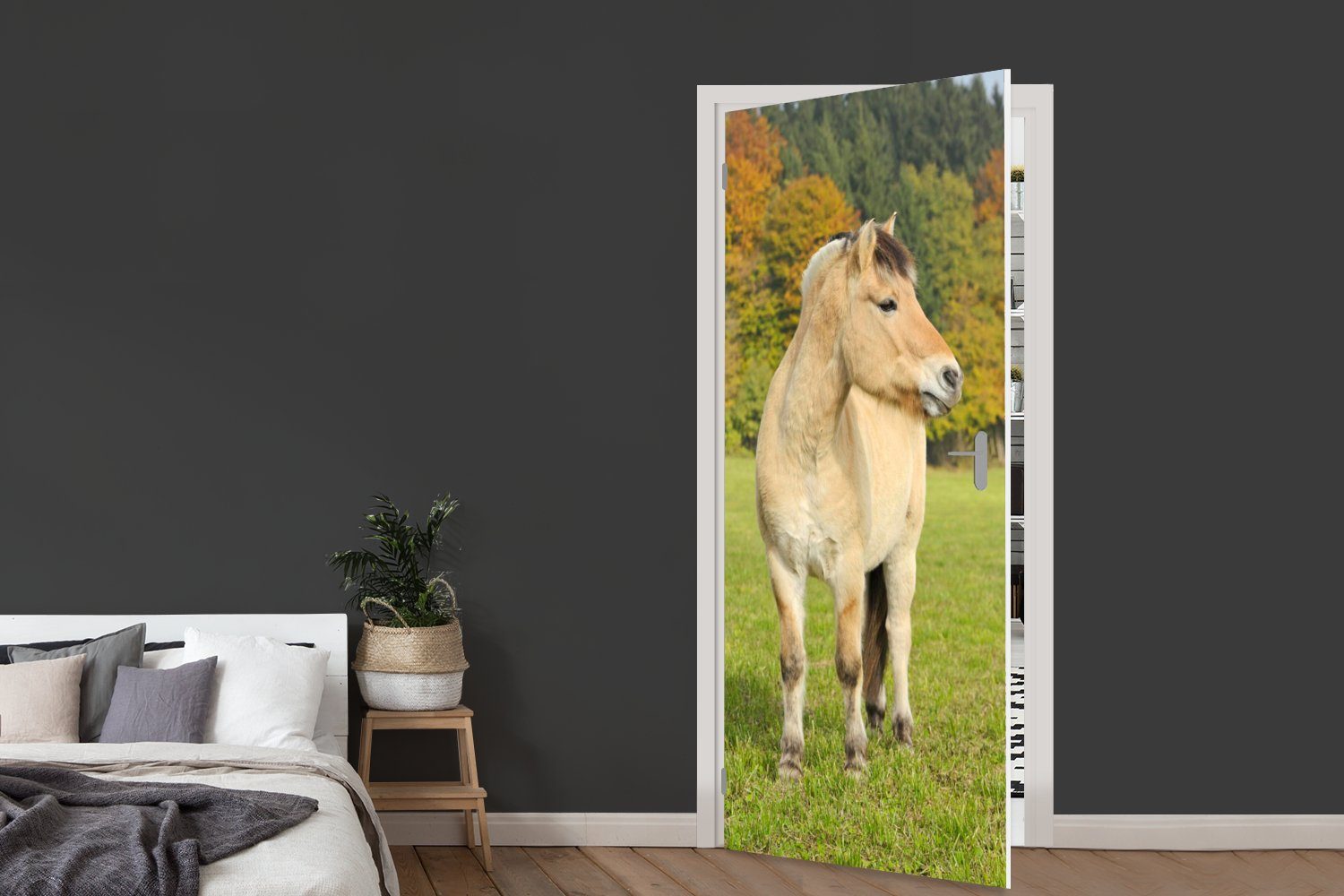 MuchoWow Türtapete Fjordpferd in einer (1 Tür, Herbstlandschaft, cm Türaufkleber, Matt, St), 75x205 für bedruckt, Fototapete