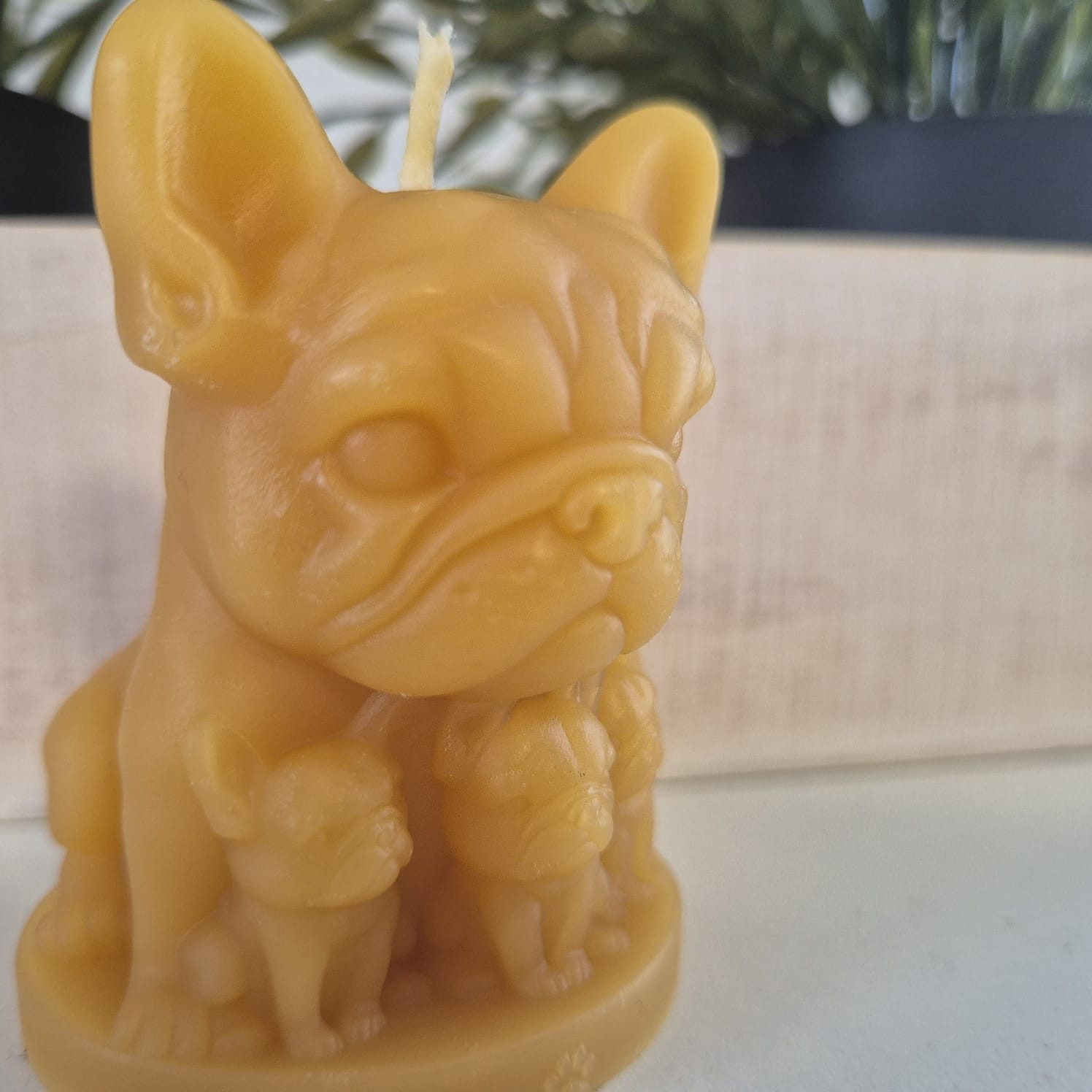 Aspinaworld Bienenwachskerze Bulldoggen Kerze mit Welpen 7 cm – Kerze aus Bienenwachs