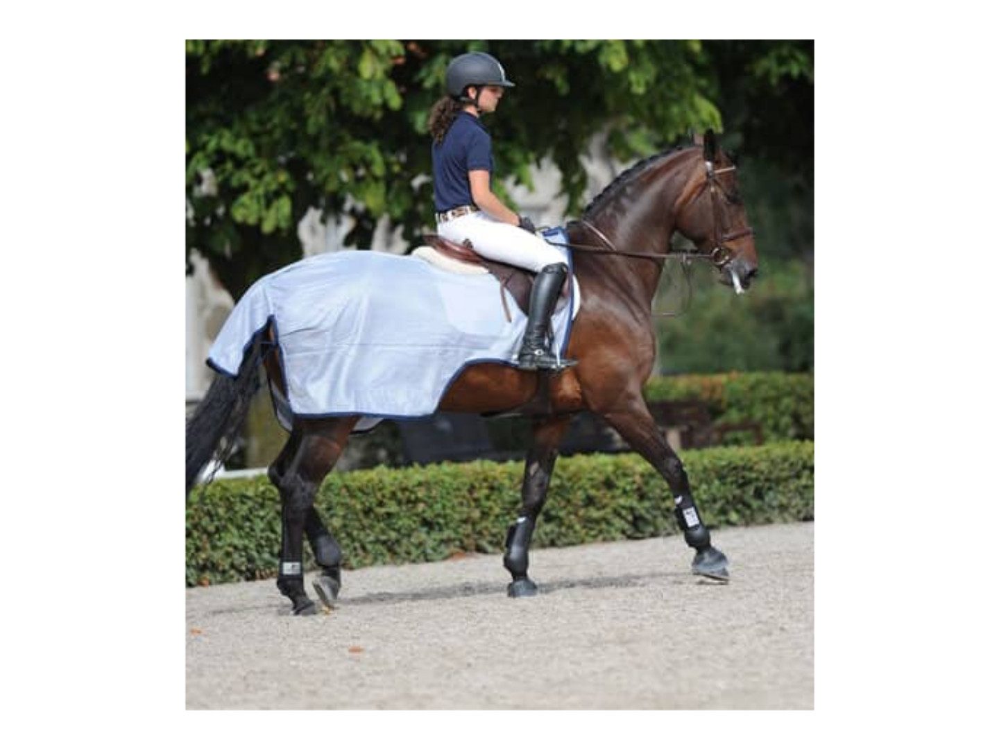 Bucas Ausreitdecke Ausreitdecke Buzz-Off Riding in Blue