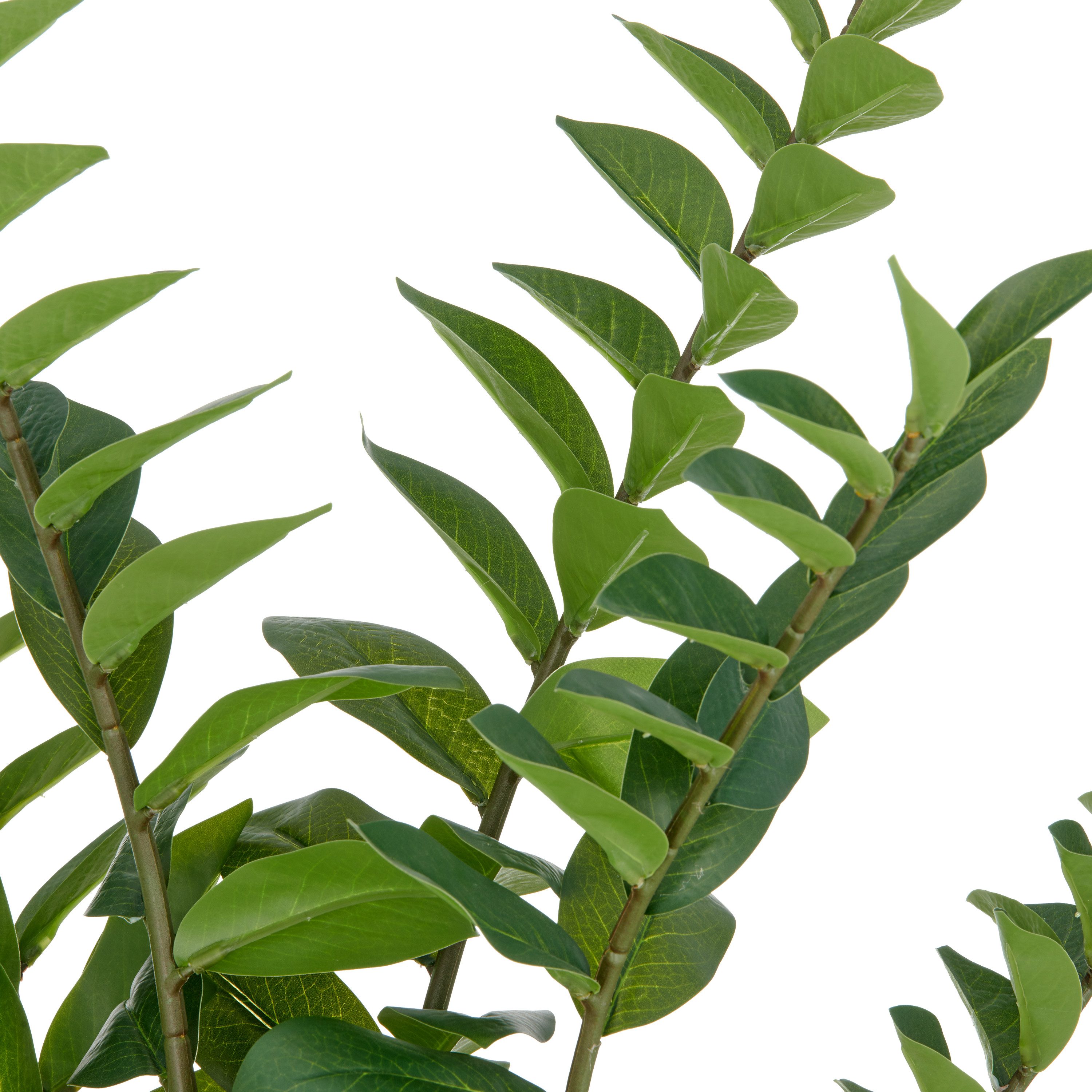 Kunstpflanze Zamifolia, Creativ green, Höhe 90 günstig online kaufen