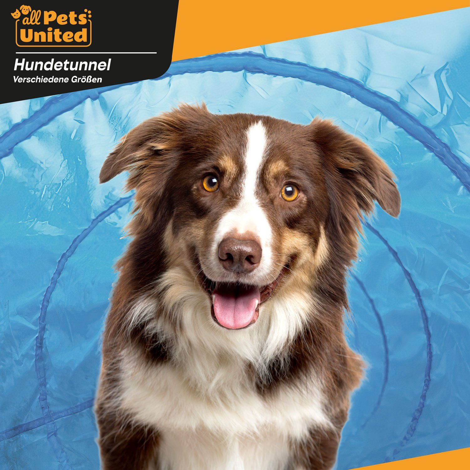 all Pets United Agility-Tunnel Hundetunnel Spieltunnel, günstig online kaufen