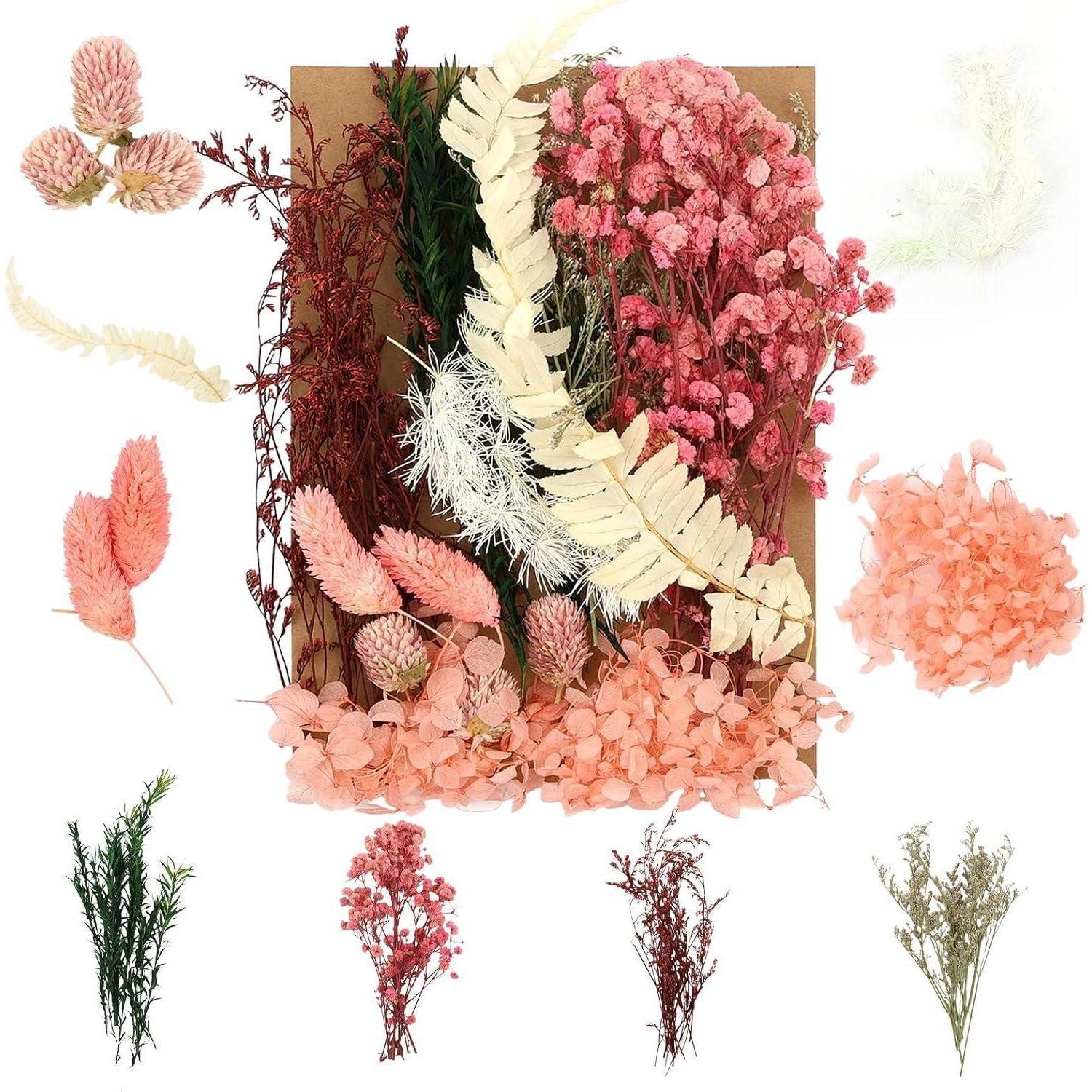 Trockenblume Trockenblumen DIY Epoxidharz Scrapbook Karten Rosa-grün, LuxusKollektion