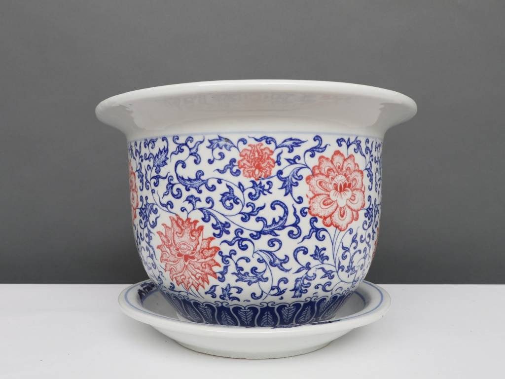 Yajutang Topfpflanze