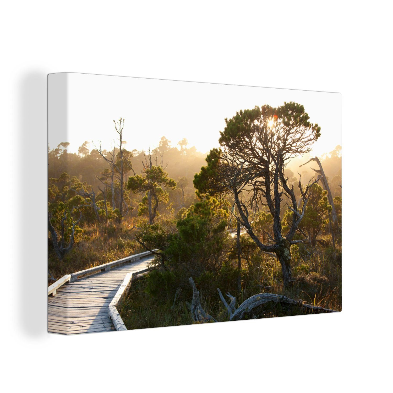 OneMillionCanvasses® Leinwandbild Holzpfad durch die Wälder des kanadischen Nationalparks Pacific Rim, (1 St), Wandbild Leinwandbilder, Aufhängefertig, Wanddeko, 30x20 cm