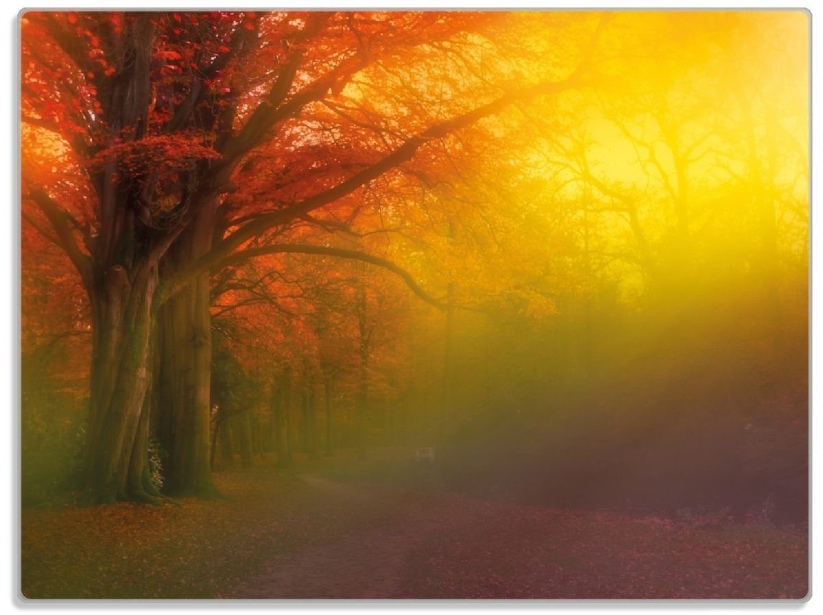 1-St), Bunter Wallario Herbst rutschfester Nebel Gummifüße - Waldlandschaft ESG-Sicherheitsglas, (inkl. in 4mm, bei 30x40cm Regenbogenfarben, Schneidebrett