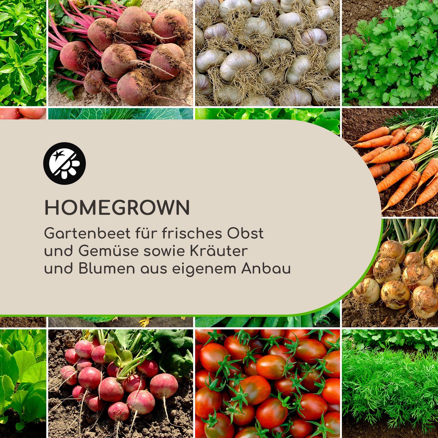 blumfeldt Hochbeet Nova Grow