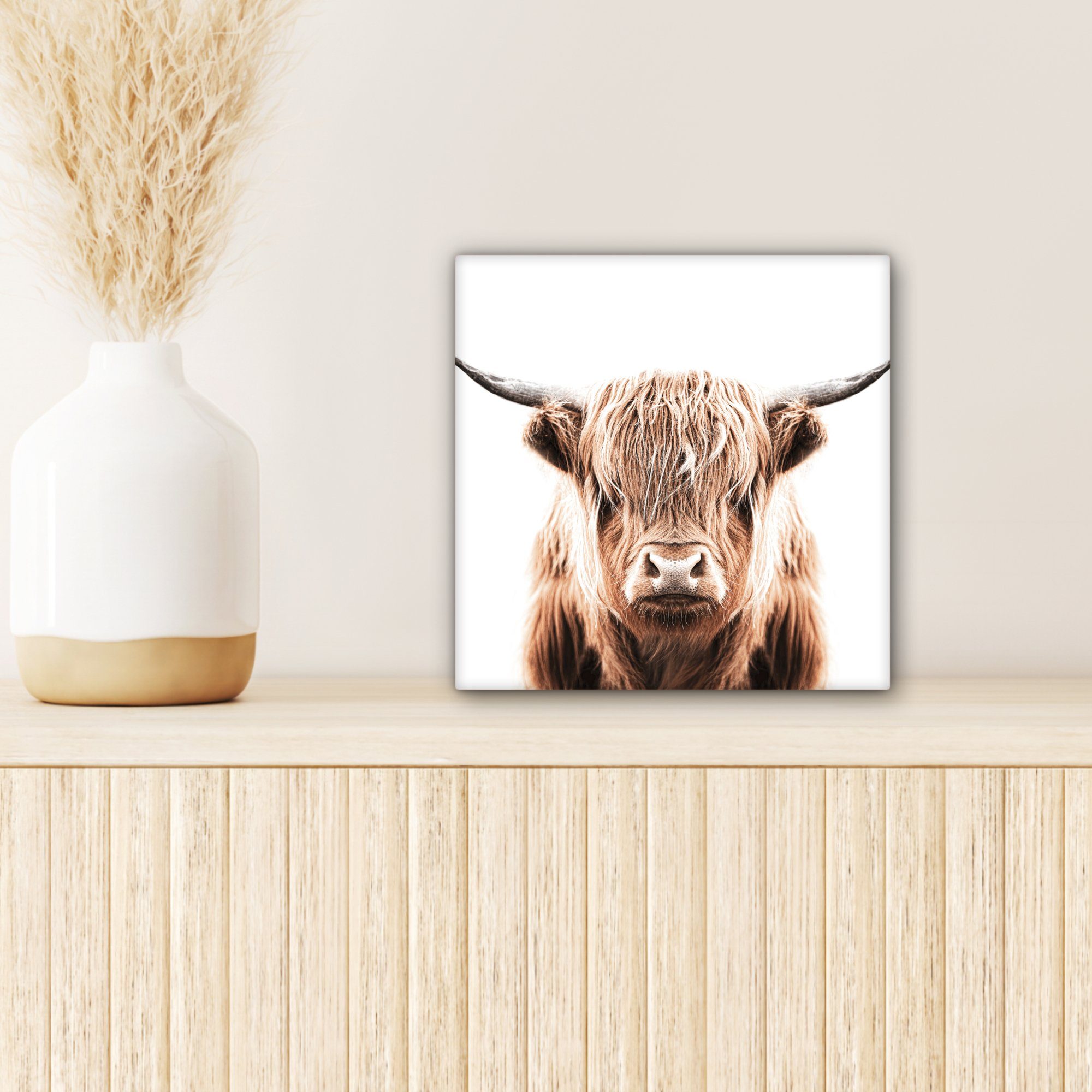 OneMillionCanvasses® Leinwandbild Tiere (1 für - Wohnzimmer 20x20 Schottischer St), cm Leinwand Highlander - Bilder Kuh, Schlafzimmer