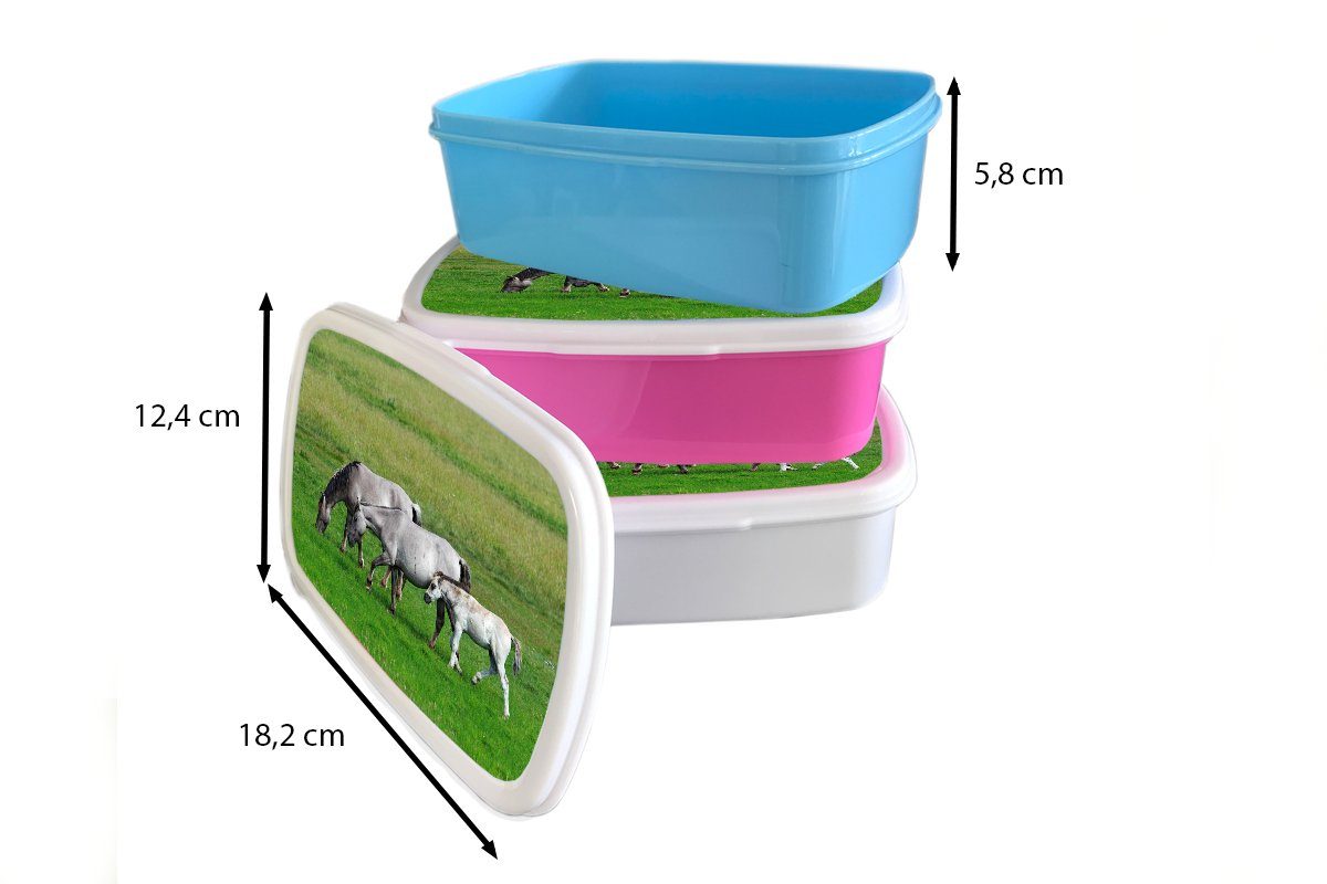 MuchoWow Lunchbox Pferde - Tiere Kinder, Erwachsene, - (2-tlg), Kunststoff, für Mädchen, Kunststoff Gras, Brotbox rosa Brotdose Snackbox