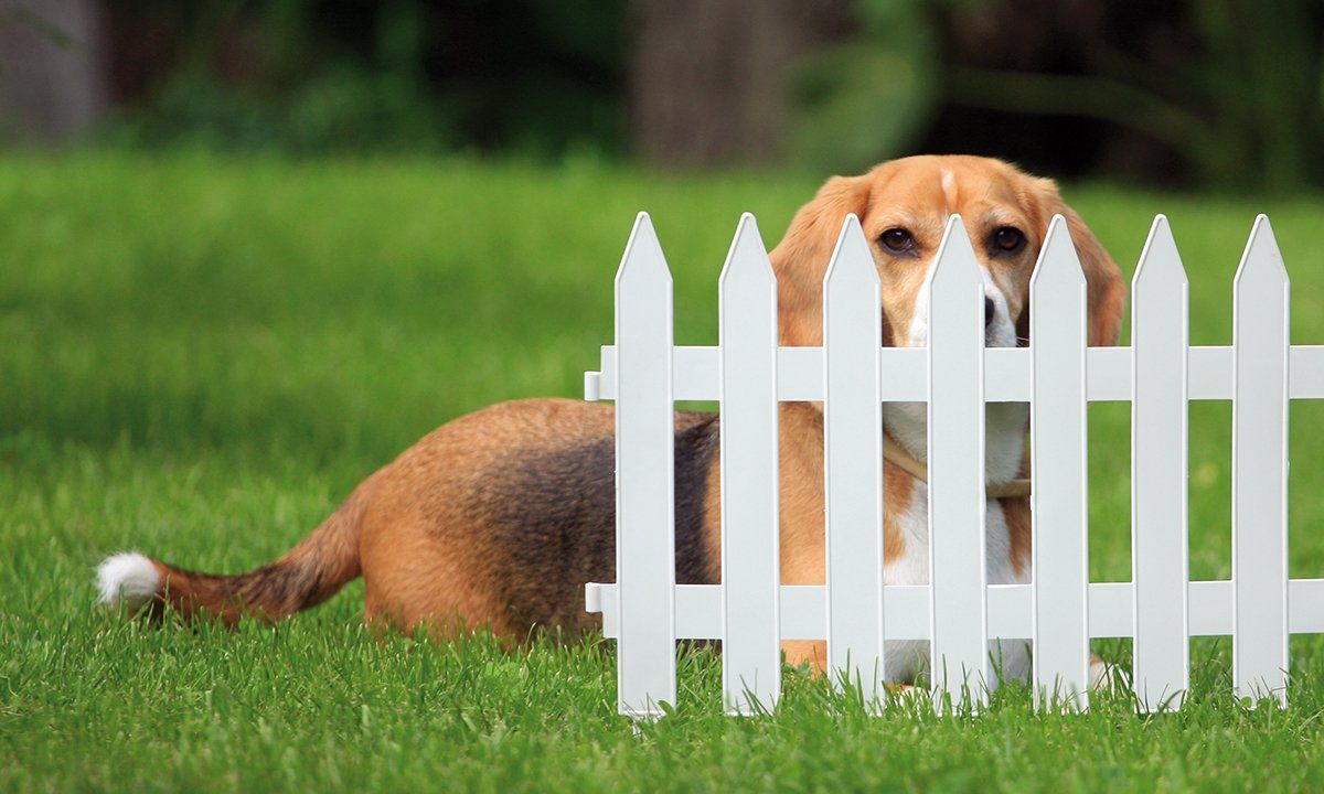 BigDean Gartenzaun Classic Dunkelbraun 3,22m x 0,35m Beetbegrenzung Beeteinfassung Zaun