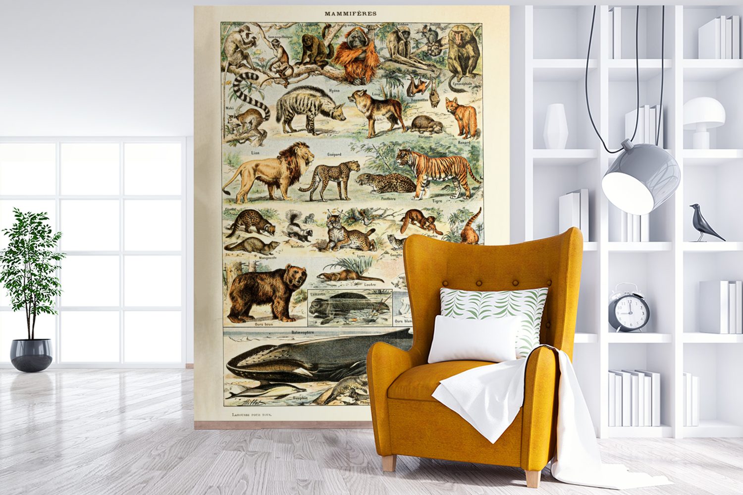 Löwe, Tiger - - St), Adolphe bedruckt, Millot (4 Tapete Wohnzimmer, - Vinyl Vintage MuchoWow Matt, - für Montagefertig Tiere Fototapete Wandtapete