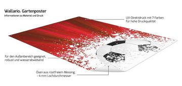 Wallario Sichtschutzzaunmatten Fußball - Splashing Design in rot