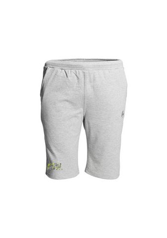 AHORN SPORTSWEAR Брюки спортивные