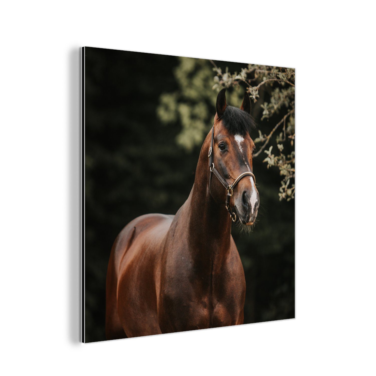 MuchoWow Metallbild Pferd - Äste - Porträt, (1 St), Alu-Dibond-Druck, Gemälde aus Metall, Aluminium deko | Bilder