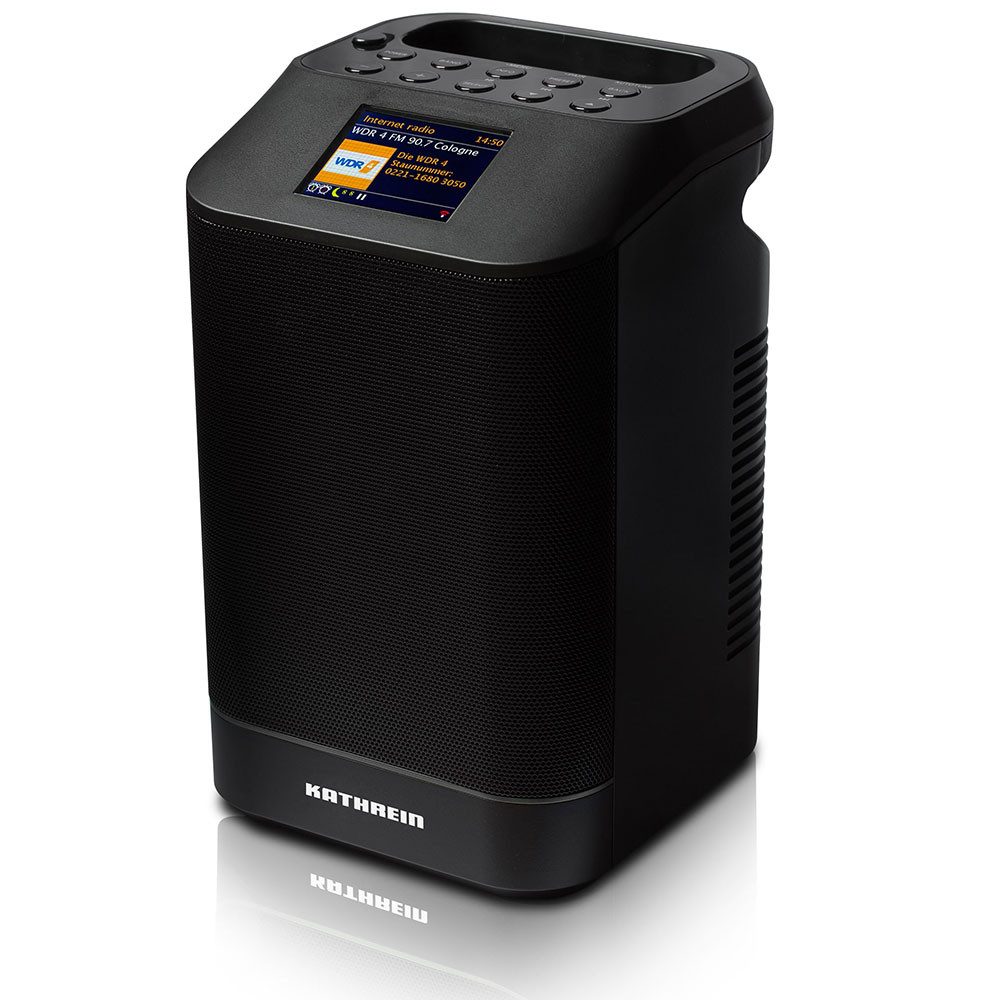 Kathrein Kathrein DAB+10 tower tragbares Radio Internetradio DAB/UKW WLAN LAN Digitalradio (DAB)