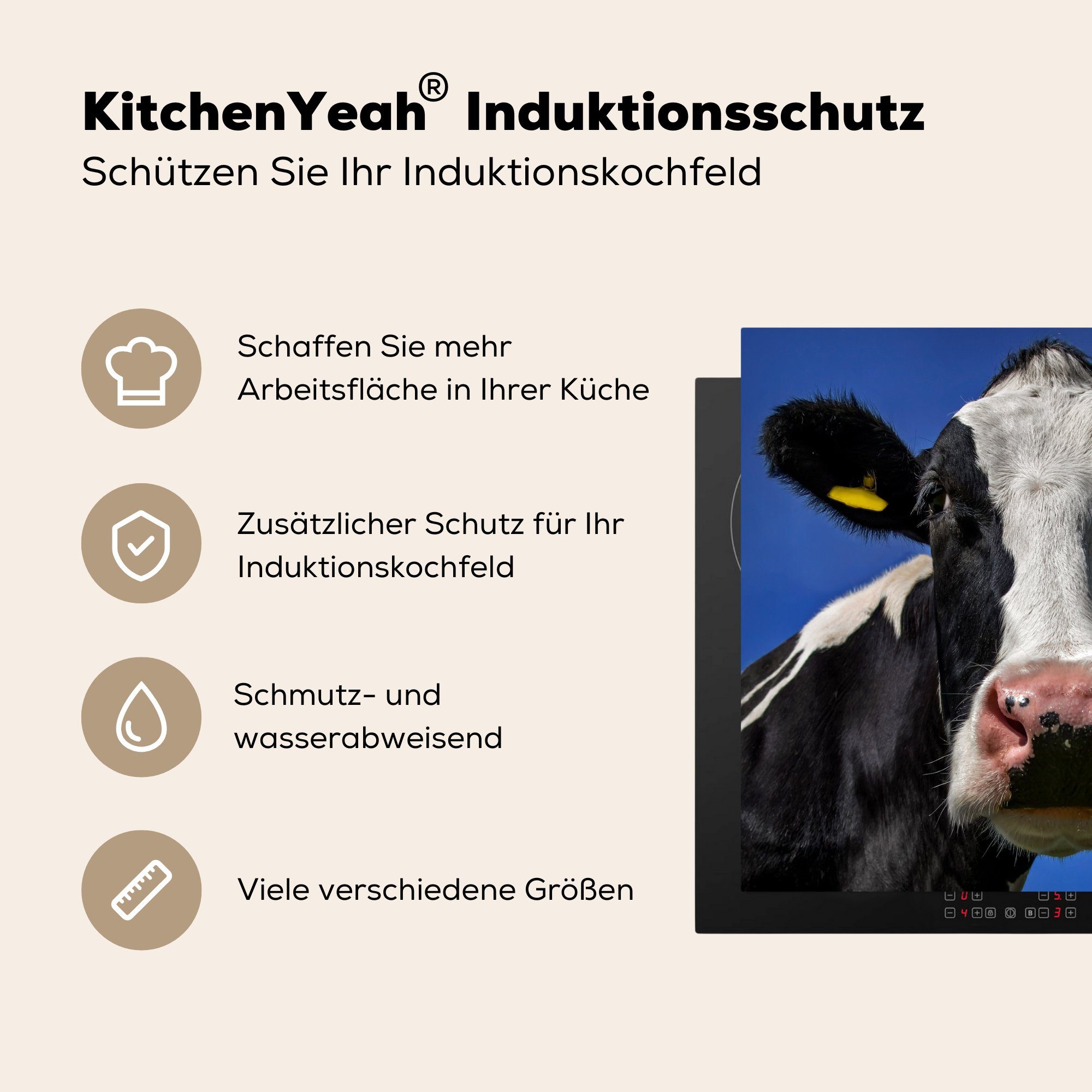 küche, Induktionsmatte Ceranfeldabdeckung Tiere, - Vinyl, für - Blau Kuh MuchoWow die cm, Herdblende-/Abdeckplatte (1 tlg), 59x52