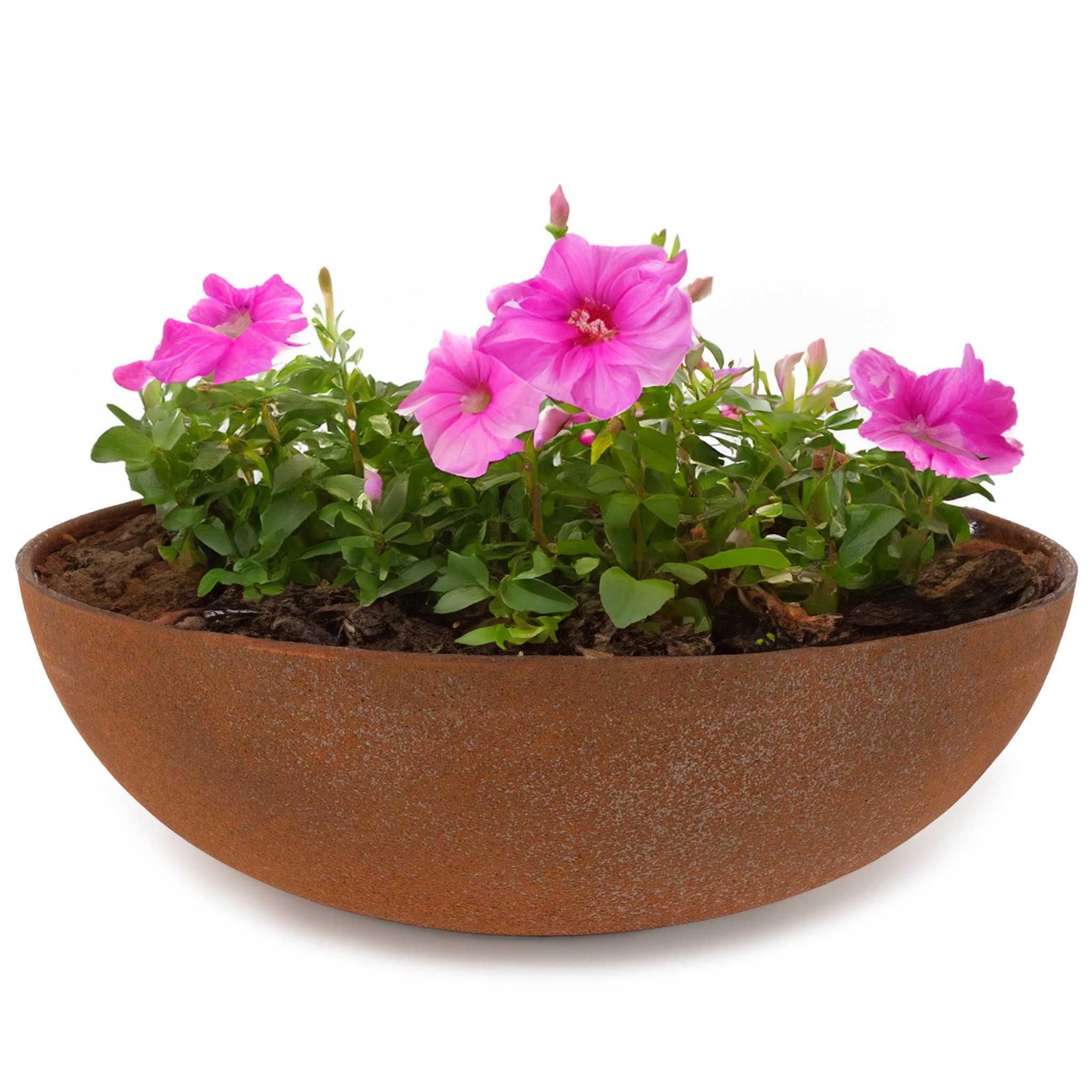 matches21 HOME & HOBBY Blumentopf Runde bauchige 37 cm Pflanzschale für draussen, rost-optik braun (1 St), Wetterfeste Blumen-Schale als moderne Gartendeko Grabschmuck