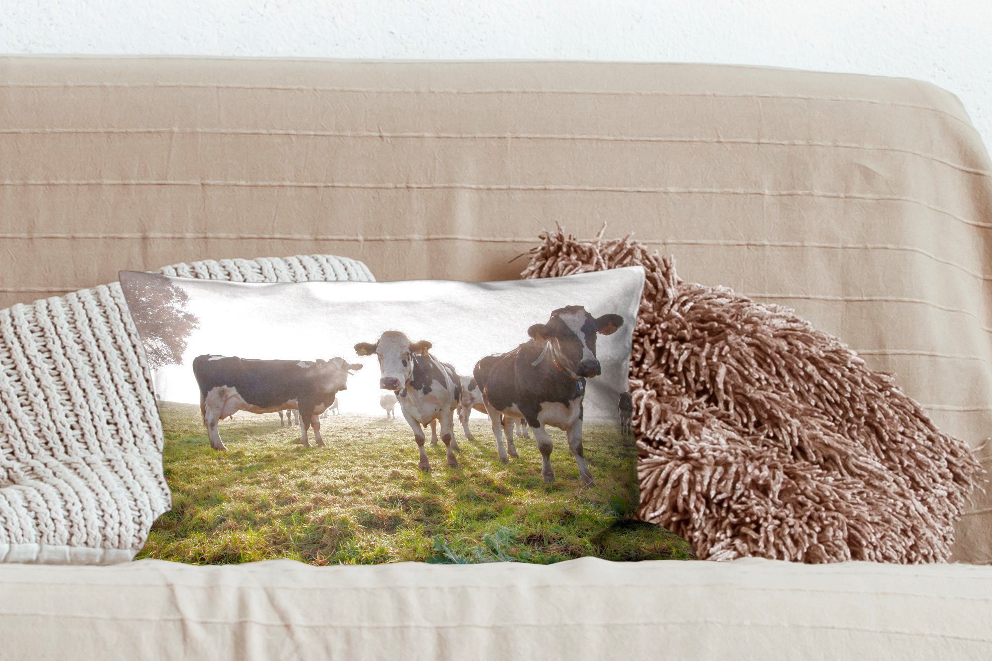 Kühe Dekokissen MuchoWow mit Dekoration, Dekokissen Gras Licht - - - Wohzimmer Schlafzimmer Füllung, Zierkissen, Tiere,