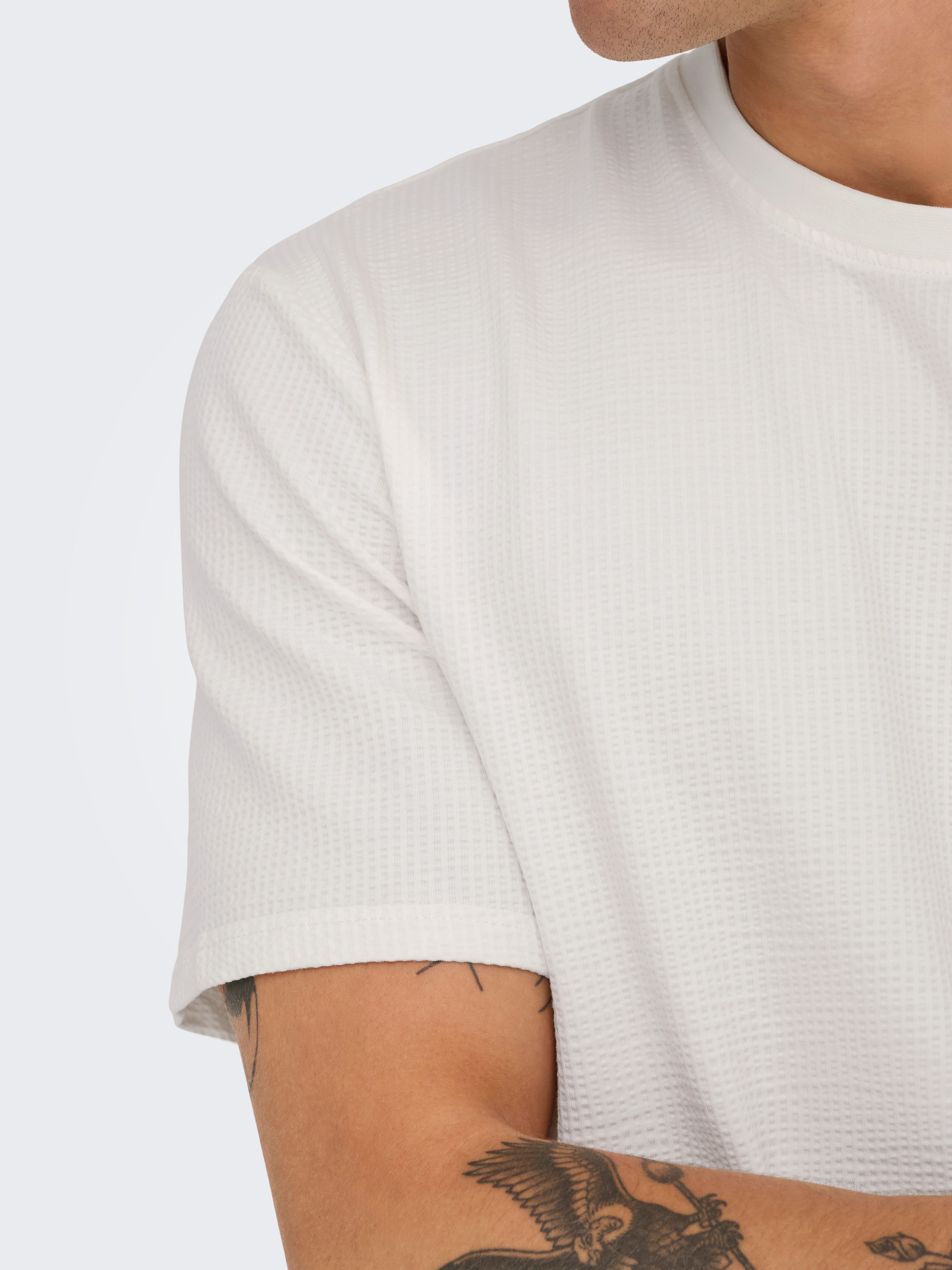 ONLY & SONS Rundhalsshirt ONSKIAN LIFE REG SEERSUCKER SS TEE NOOS