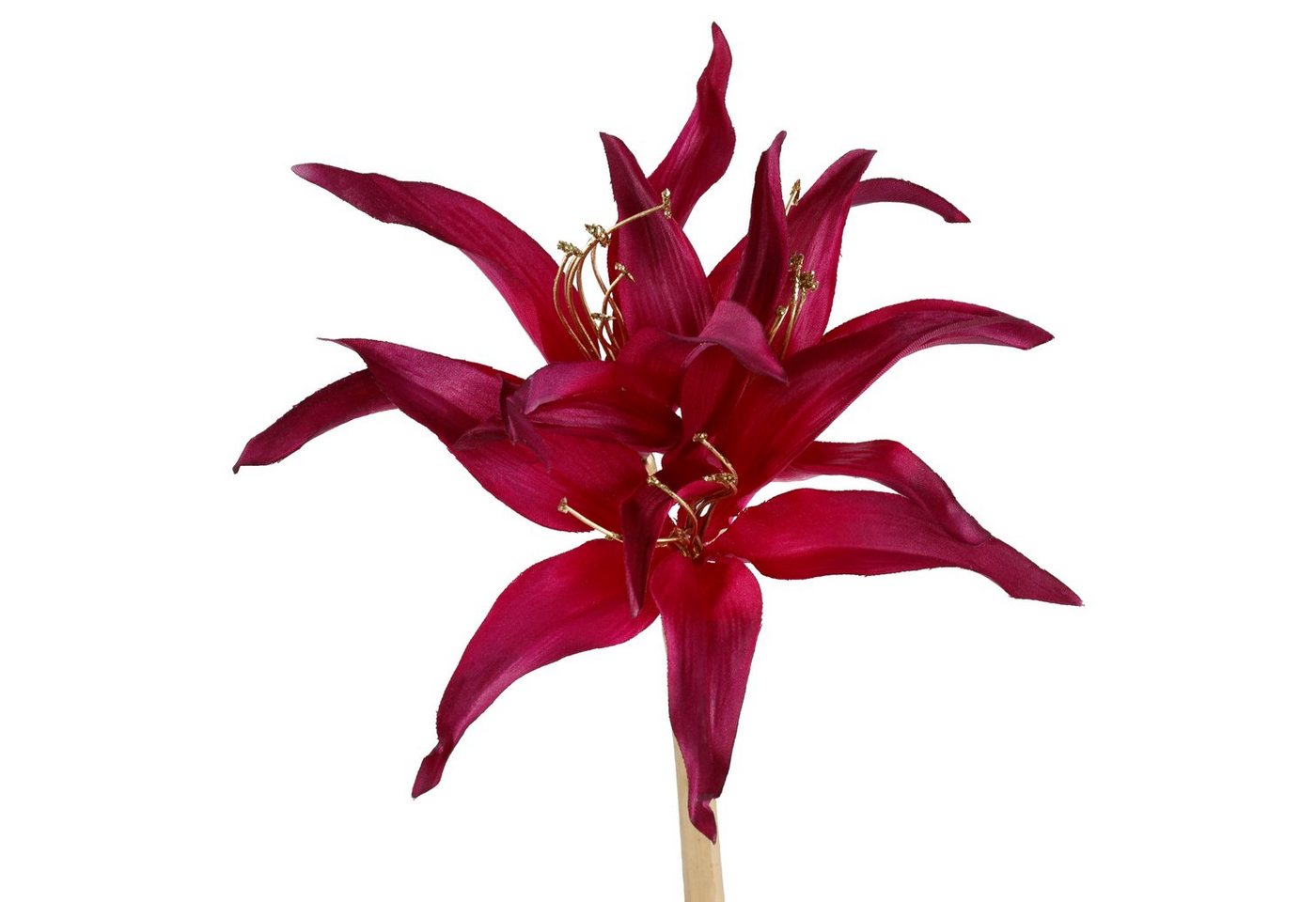 Kunstblume »Amaryllis«, Creativ deco, Höhe 52 cm-kaufen