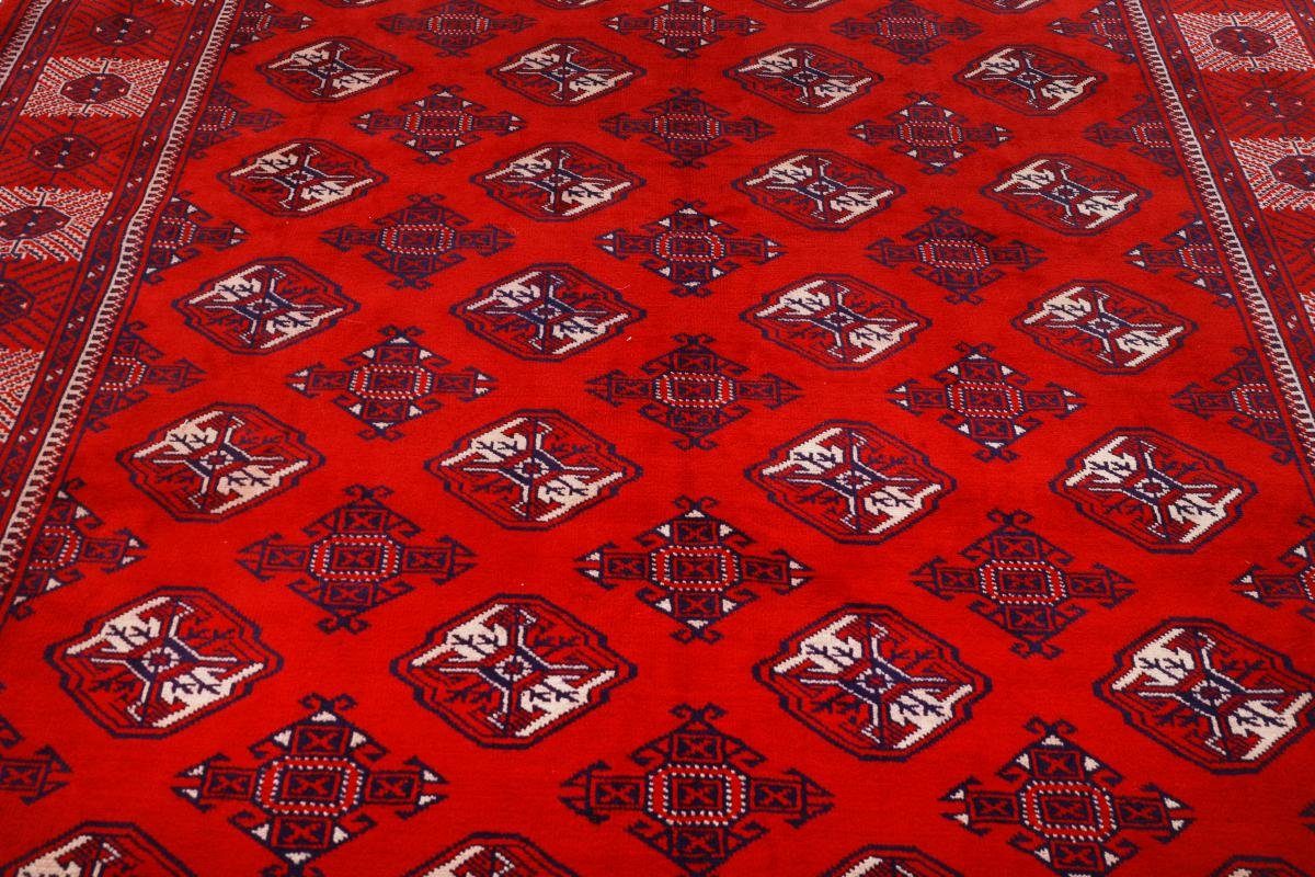 / Turkaman Handgeknüpfter Orientteppich Orientteppich mm Nain 206x290 Höhe: rechteckig, Trading, 6 Perserteppich,