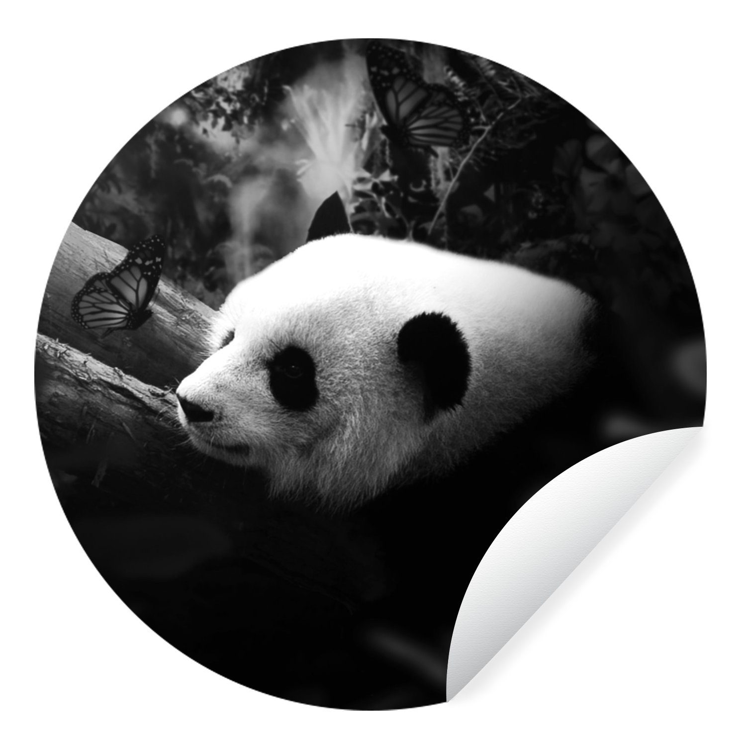 Schwarz für - Tapetenkreis Weiß - Wohnzimmer - Wandsticker - Panda (1 Rund, MuchoWow Kinderzimmer, St), Tapetenaufkleber, Dschungel Tiere