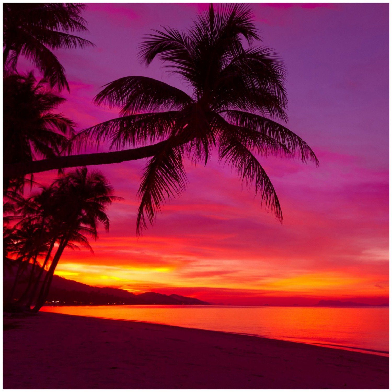 Wallario Memoboard Abendrot unter Palmen - pinker Himmel am Strand