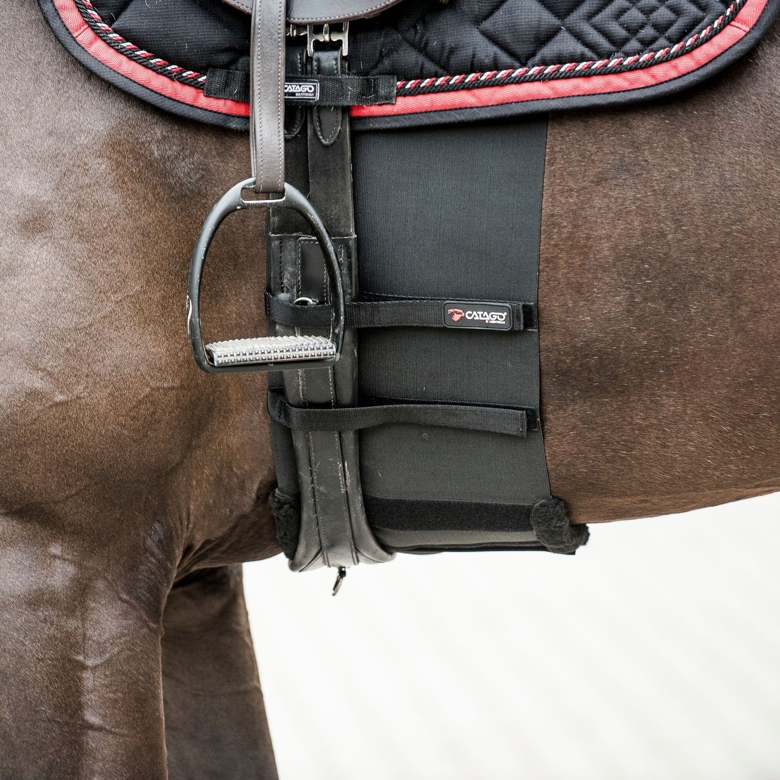CATAGO Pferdebandage Body Schwarz - Körperschutz Pferde - für Shield