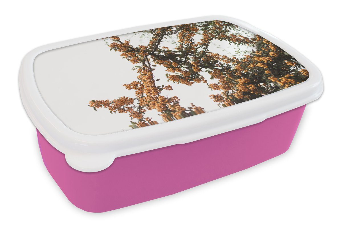 MuchoWow Lunchbox Blumen - Äste - Natur, Kunststoff, (2-tlg), Brotbox für Erwachsene, Brotdose Kinder, Snackbox, Mädchen, Kunststoff rosa