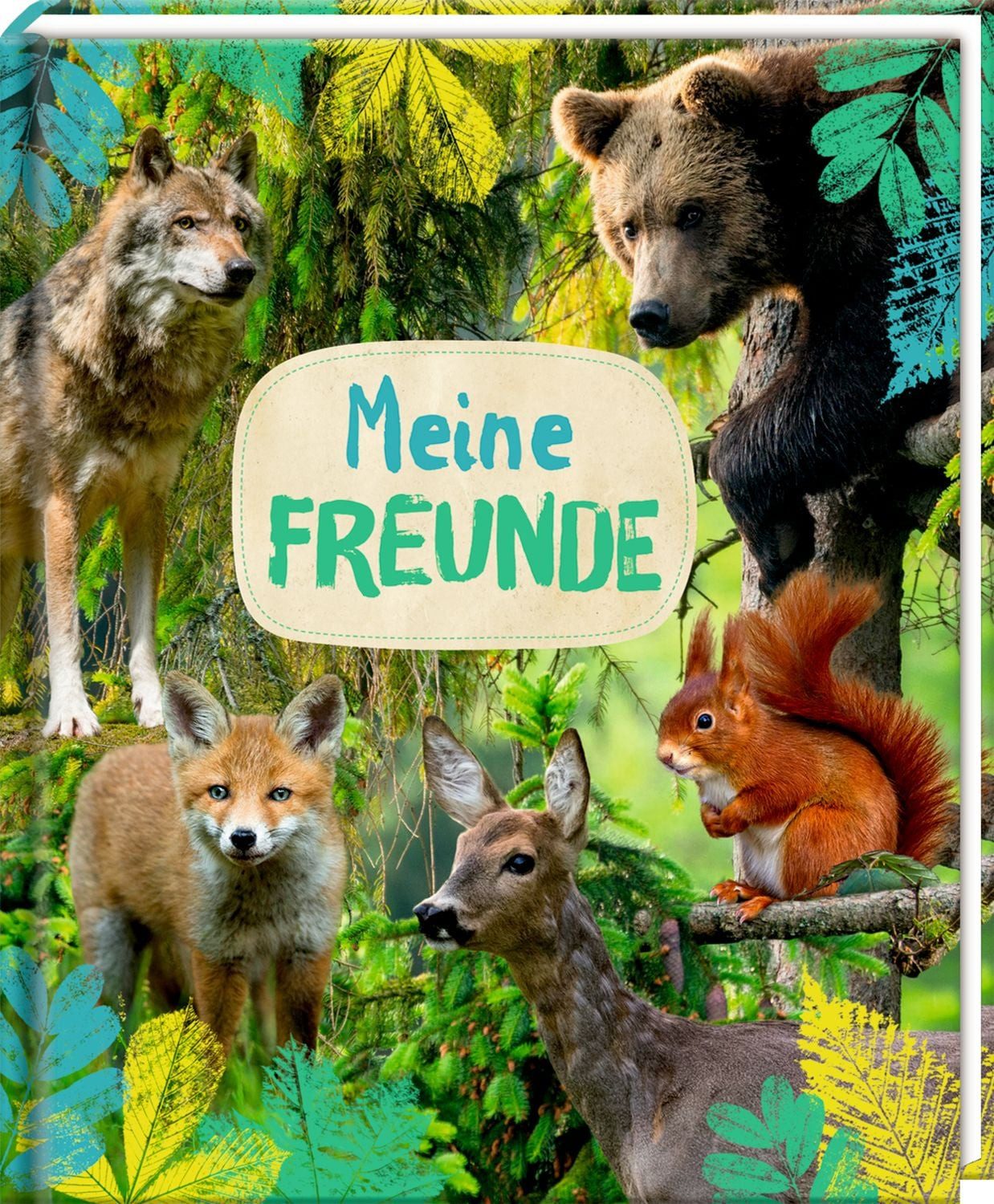 Freundebuch – Meine Freunde / diverse