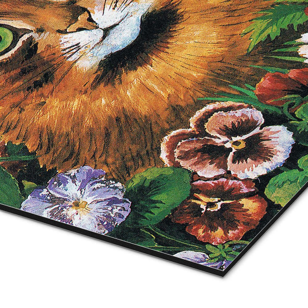 Posterlounge Wandbild Katzenstudie, Louis Wain, erhältlich als Poster, Leinwandbild, Wandsticker oder Acrylglasbild
