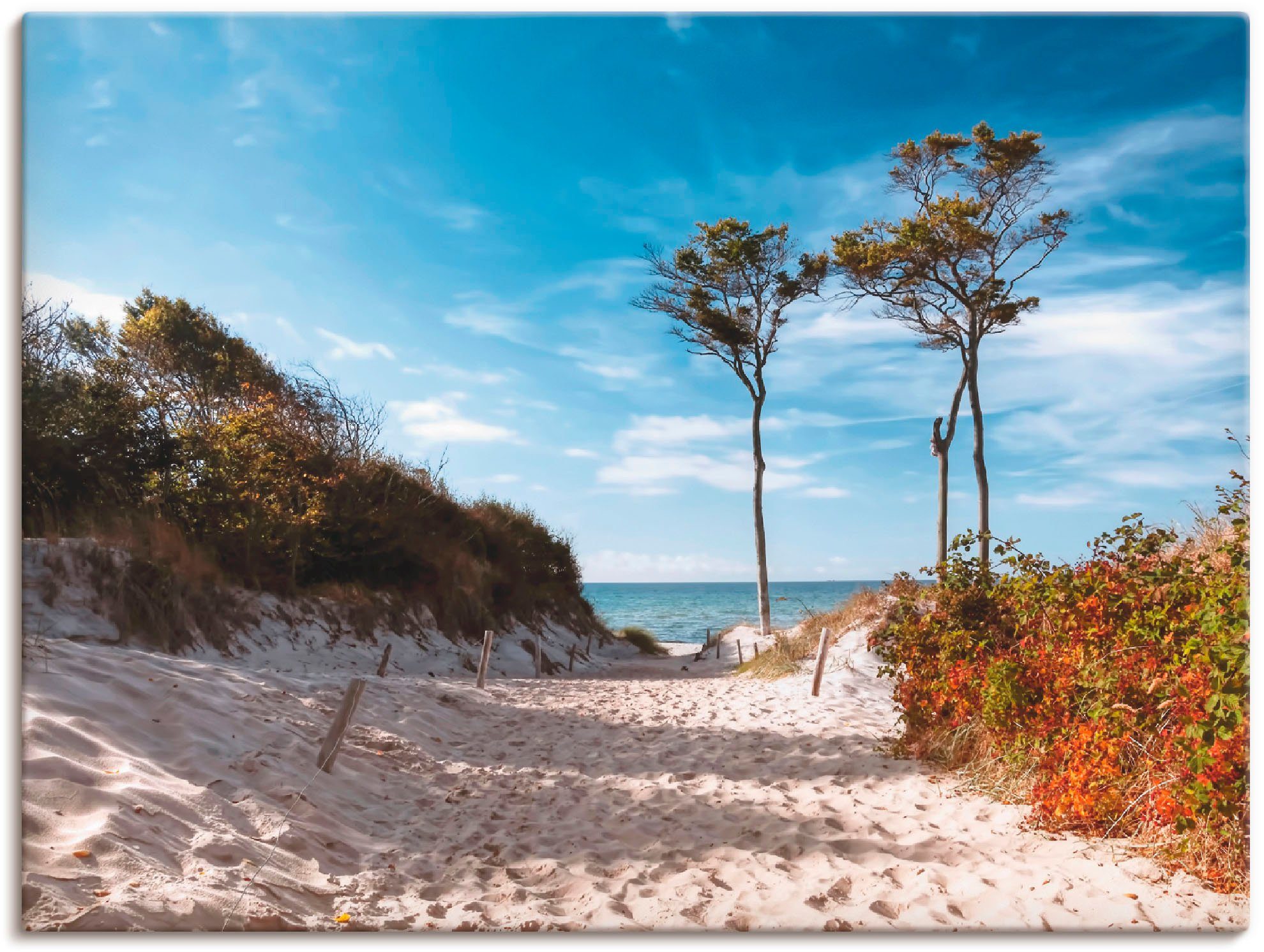 Artland Leinwandbild Weststrand Darss, Strand (1 St), auf Holzrahmen gespannt