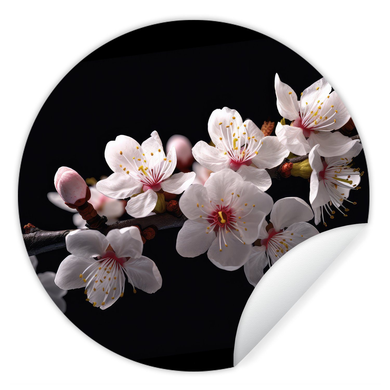MuchoWow Wandsticker Sakura - Blumen - Blütenzweige - Botanisch - Weiß (1 St), Tapetenkreis für Kinderzimmer, Tapetenaufkleber, Rund, Wohnzimmer | Wandtattoos