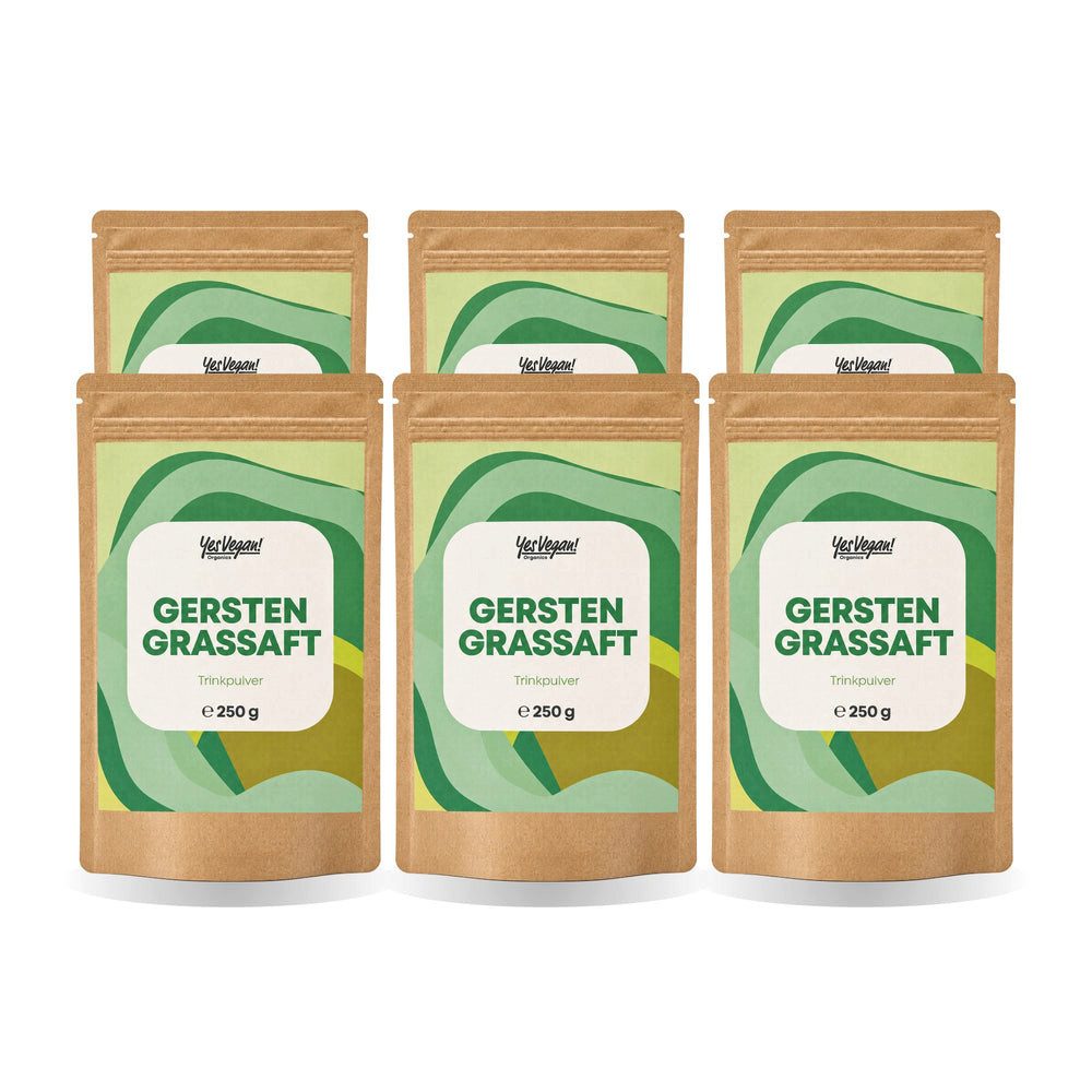 Yes Vegan Gerstengrassaft 100 % sortenrein, aus junger Gerste Pulver, 6 er Spar-Set à 250 g, vegan, laktosefrei