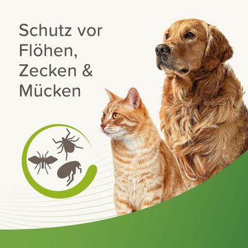 beaphar Zeckenhalsband Zecken- und Flohschutz Spray für Katzen 400 ml