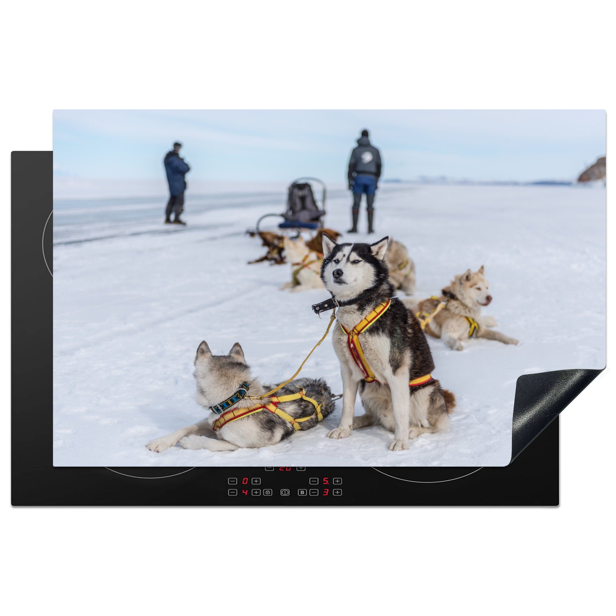 MuchoWow Herdblende-/Abdeckplatte Siberian Huskies auf einem Schlitten, der im Schnee ruht, Vinyl, (1 tlg), 81x52 cm, Induktionskochfeld Schutz für die küche, Ceranfeldabdeckung