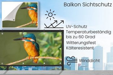 MuchoWow Balkonsichtschutz Vogel - Eisvogel - Zweig - Blätter - Moos (1-St) Balkonbanner, Sichtschutz für den Balkon, Robustes und wetterfest