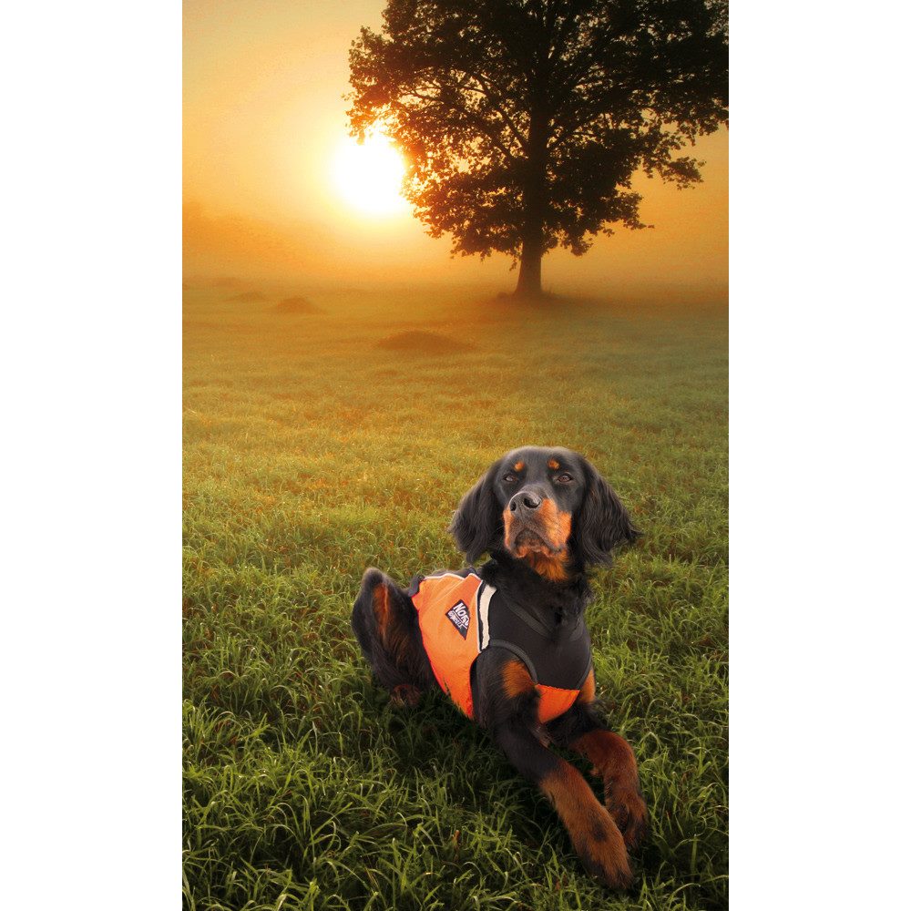 Non-stop dogwear Tierwarnweste Hunting Cover