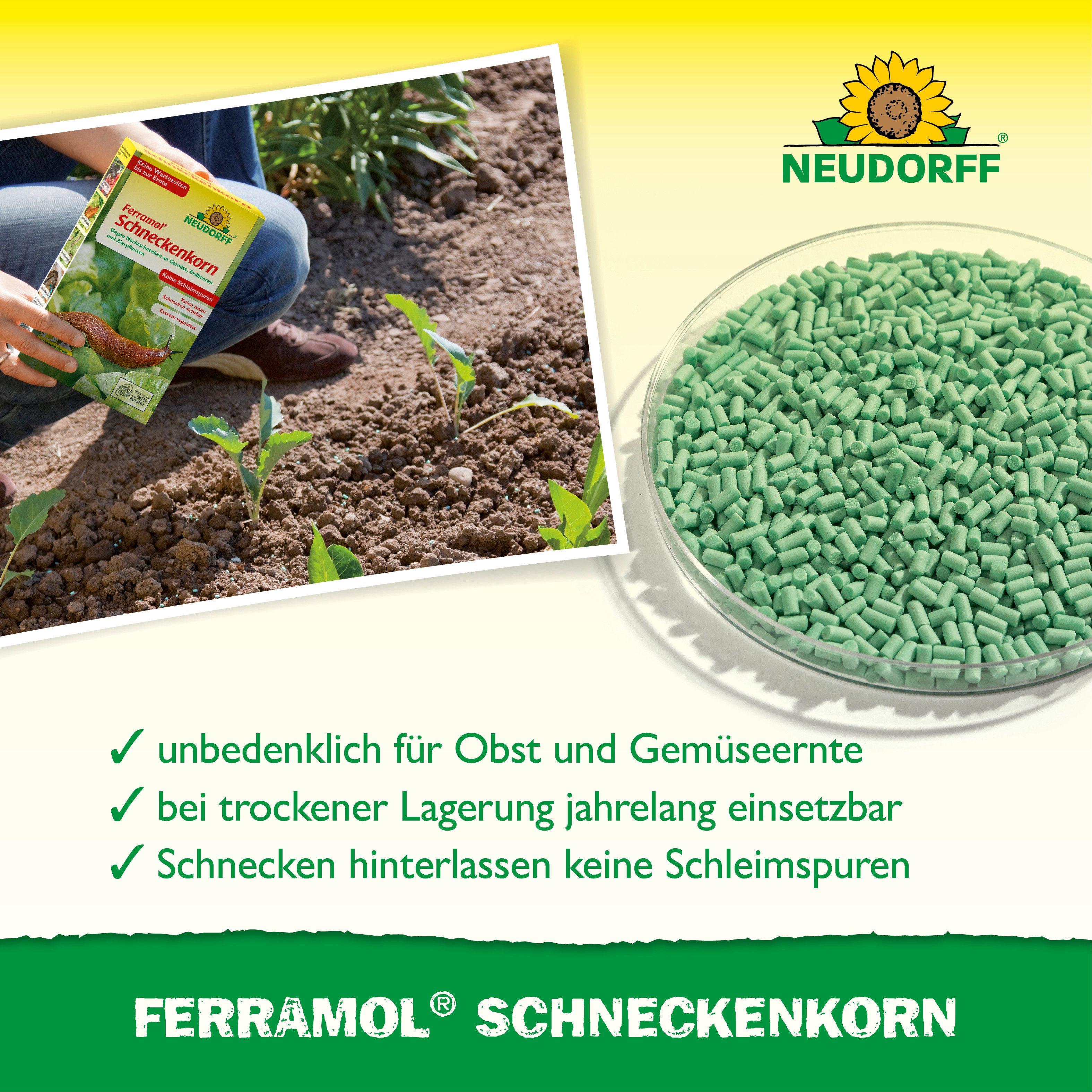 Neudorff Pflanzenstärkungsmittel Ferramol Schneckenkorn regenfest 0,5 kg, Für Gemüse, Obst & Zierpflanzen im Freiland und Gewächshaus, Regenfester Fertigköder g – Bild 4 von 5