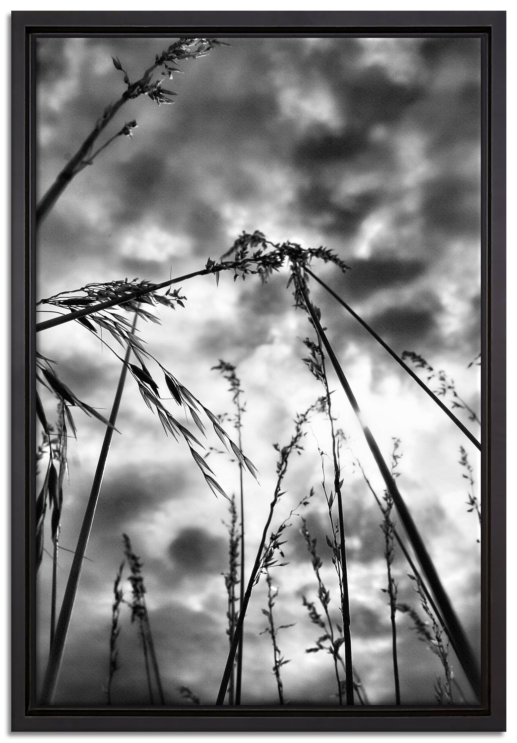 Pixxprint Leinwandbild Grashalme Zackenaufhänger (1 St), inkl. Wanddekoration einem fertig Himmel, Leinwandbild in dunklem bespannt, gefasst, Schattenfugen-Bilderrahmen mit