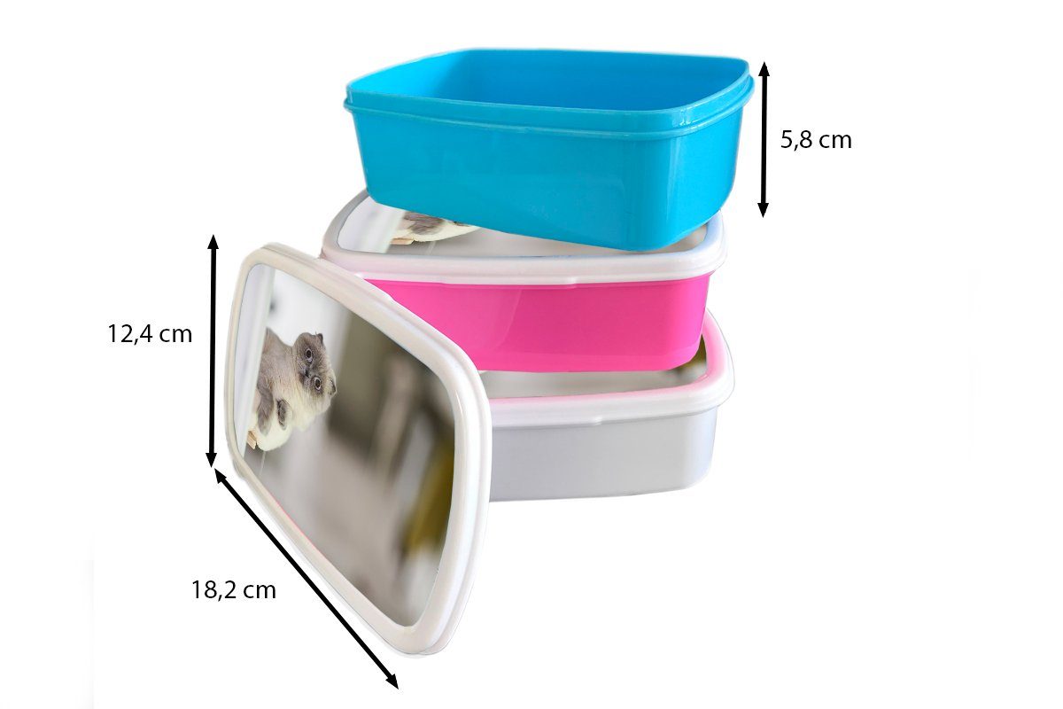 Kunststoff Brotdose Brotbox rosa Mädchen, Katze - (2-tlg), für Lunchbox MuchoWow - Kunststoff, Wohnzimmer, Erwachsene, Tier Kinder, Snackbox,