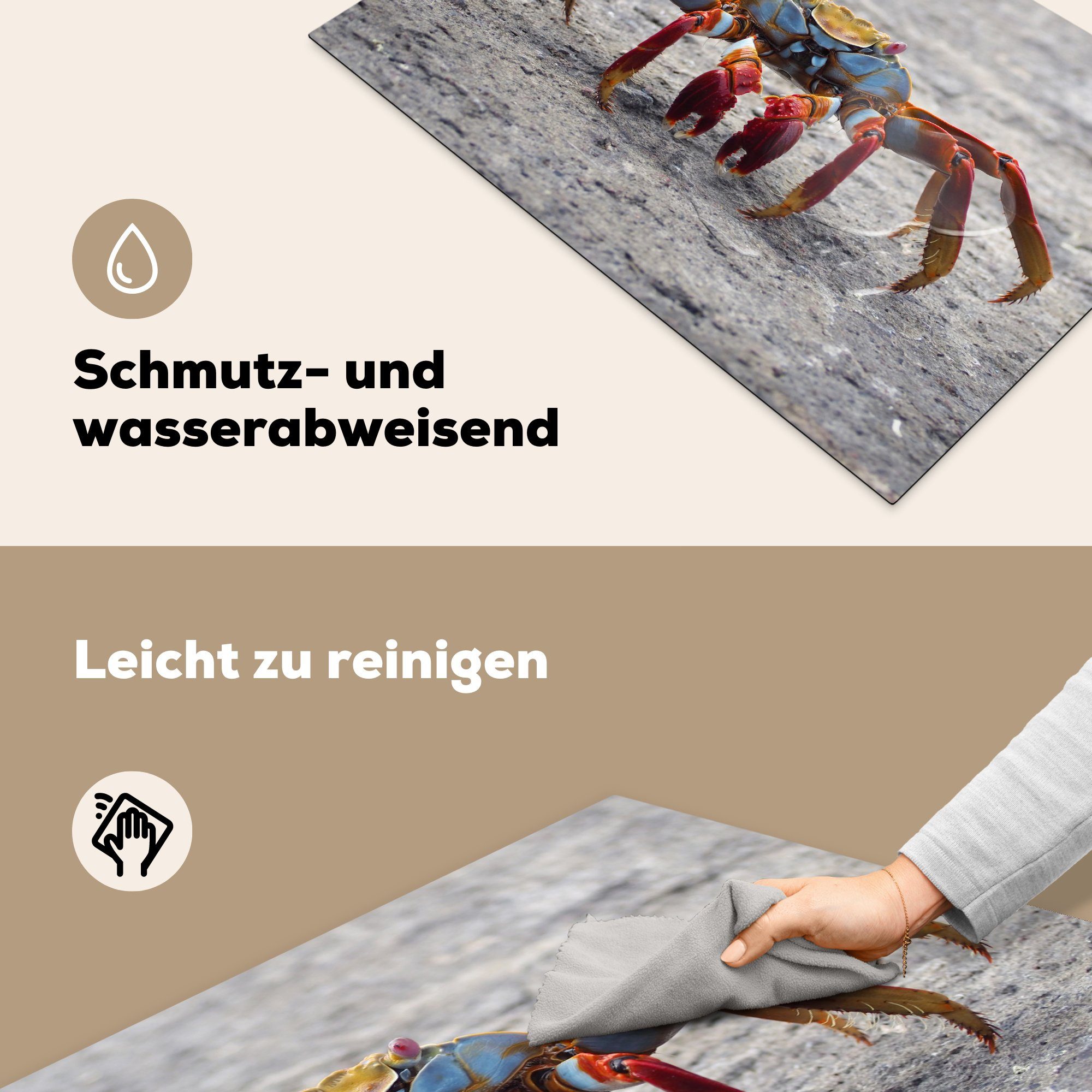 Vinyl, Krabbe, die tlg), (1 Tiere - Schutz MuchoWow 81x52 - Strand Induktionskochfeld Ceranfeldabdeckung küche, Herdblende-/Abdeckplatte cm, für