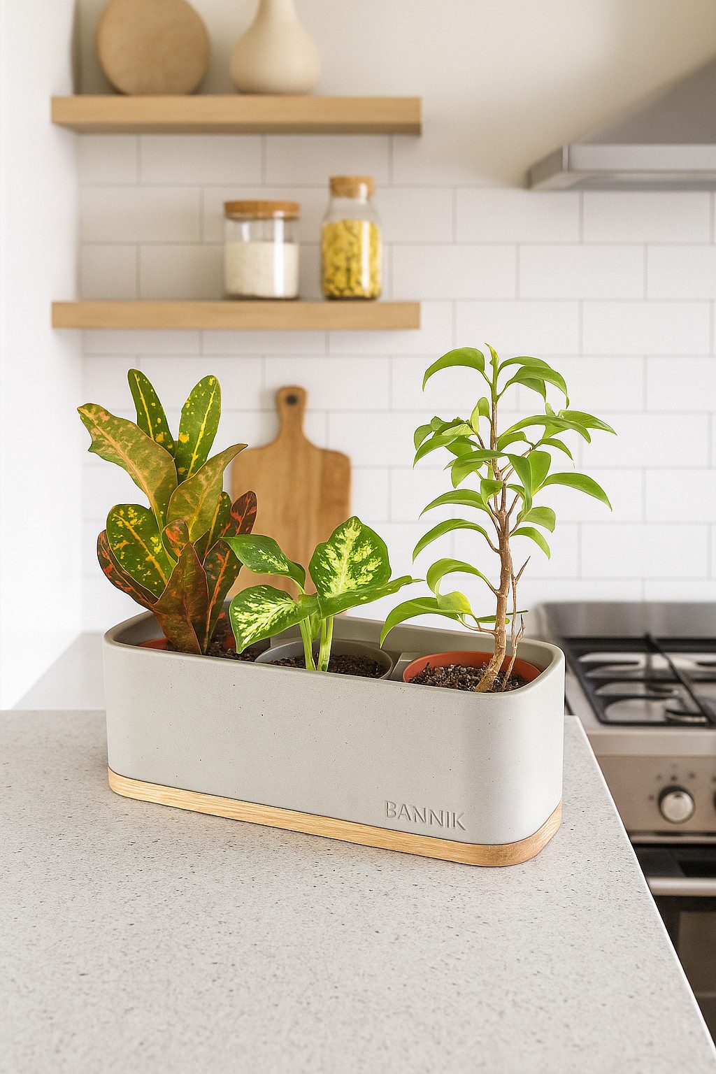 Bannik Blumentopf aus Beton und Holz - handgefertigt - Pflanztopf modern (1 St., 22,5x7,5x8cm), Unikat mit Holzuntersetzer, handmade in Germany, stilvoll & kompakt