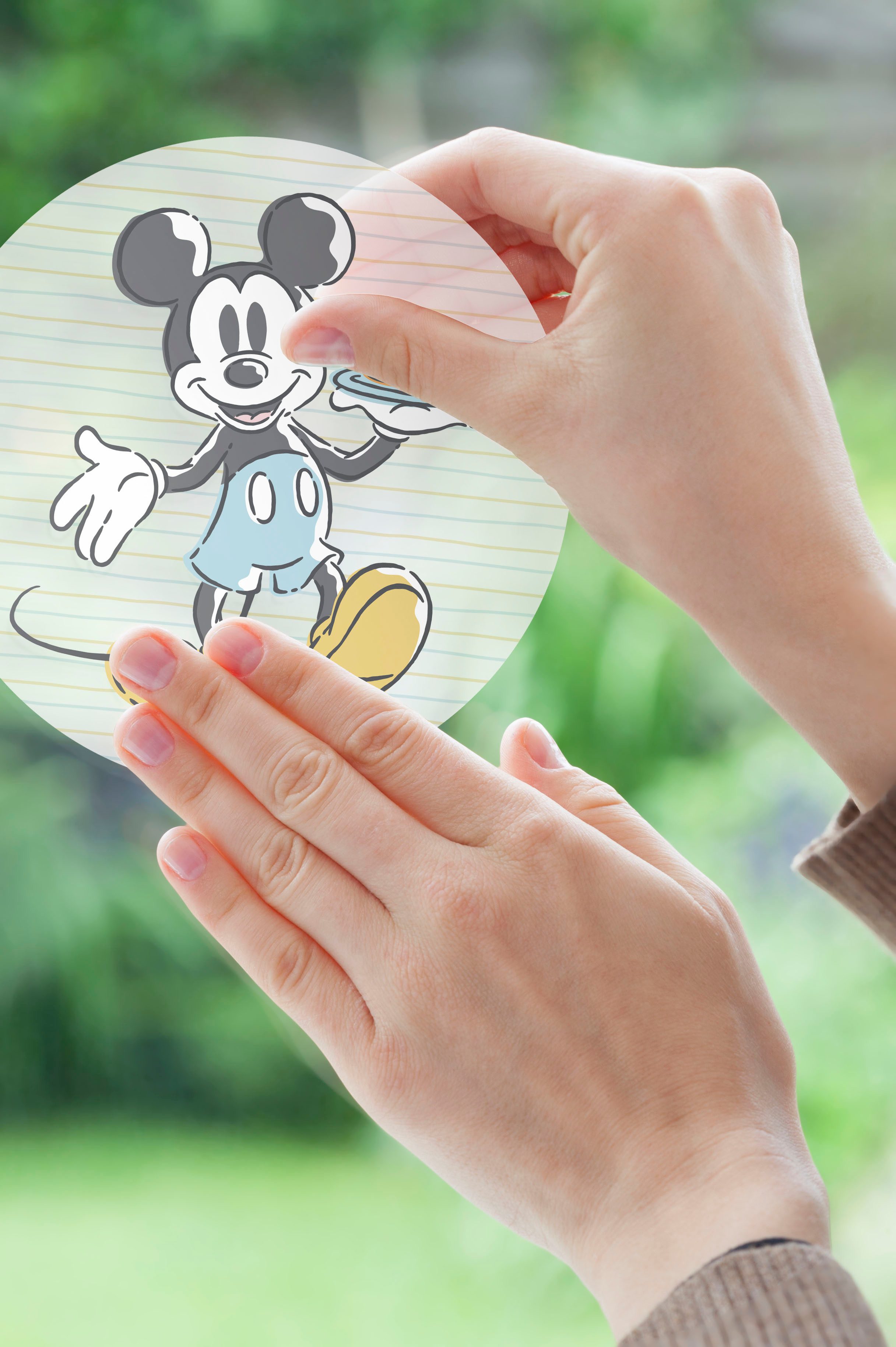 Komar Декорация окна Disney Micky und Minnie