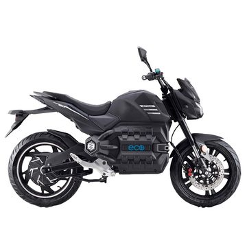 DAYI E-Motorrad E-ODIN, 8000,00 W, 110 km/h, Keyless Go, Alarmanlage, Optionale Koffer möglich