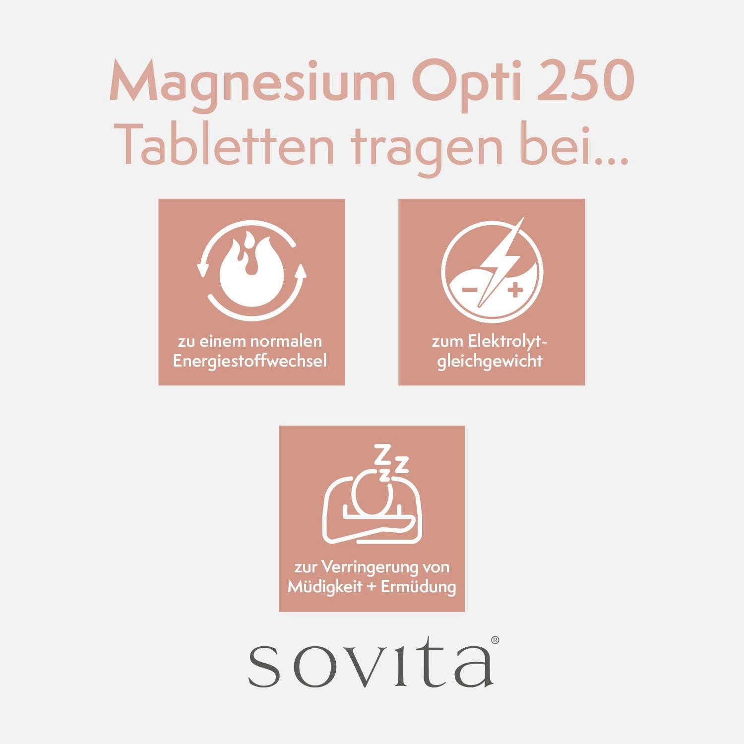 Ascopharm sovita Magnesium Opti 250 Tabletten 1, 1 er