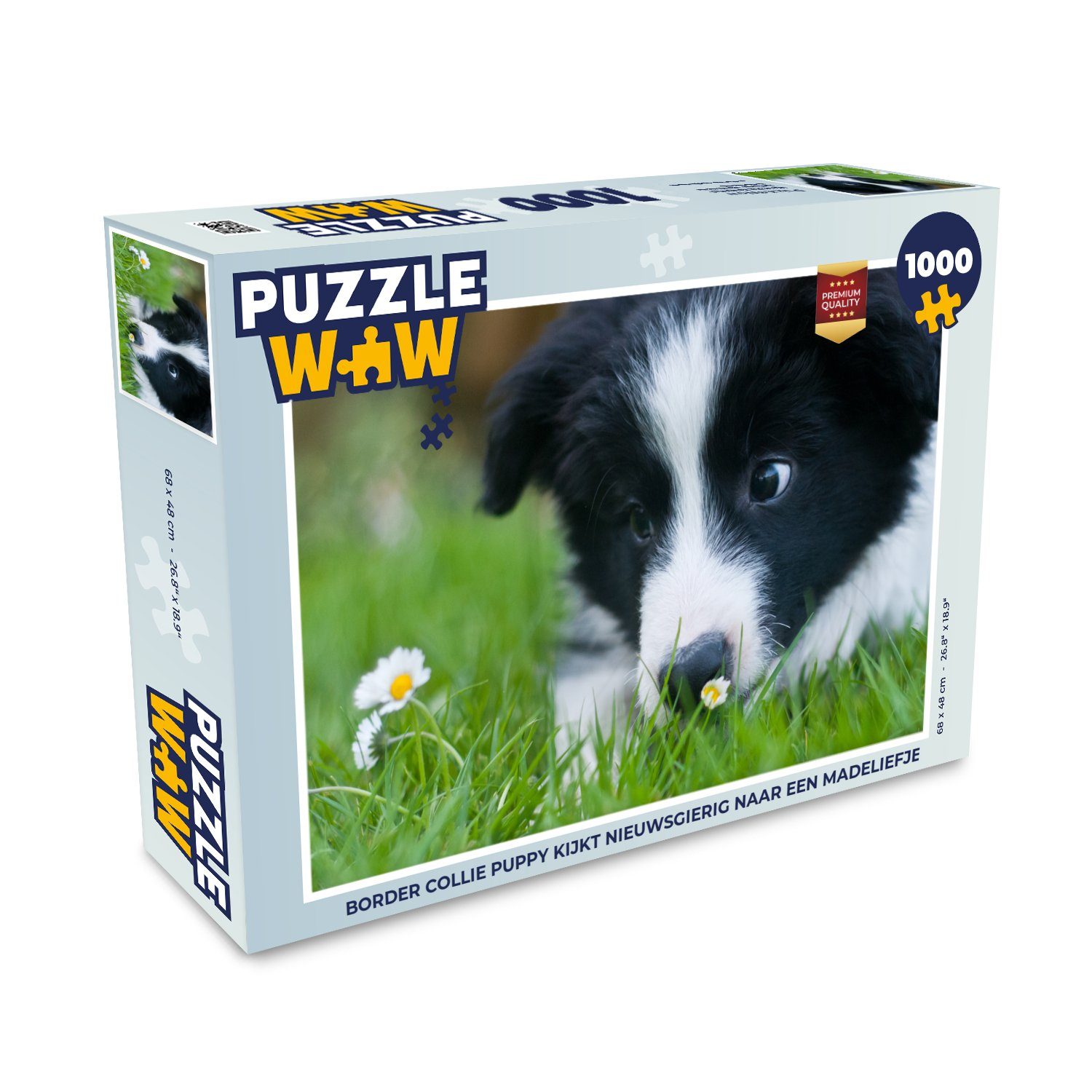 Collie Gänseblümchen, Klassisch Puzzleteile, ein Puzzlespiele, Bilderrätsel, schaut 1000 neugierig MuchoWow Foto-Puzzle, Welpe auf Border Puzzle