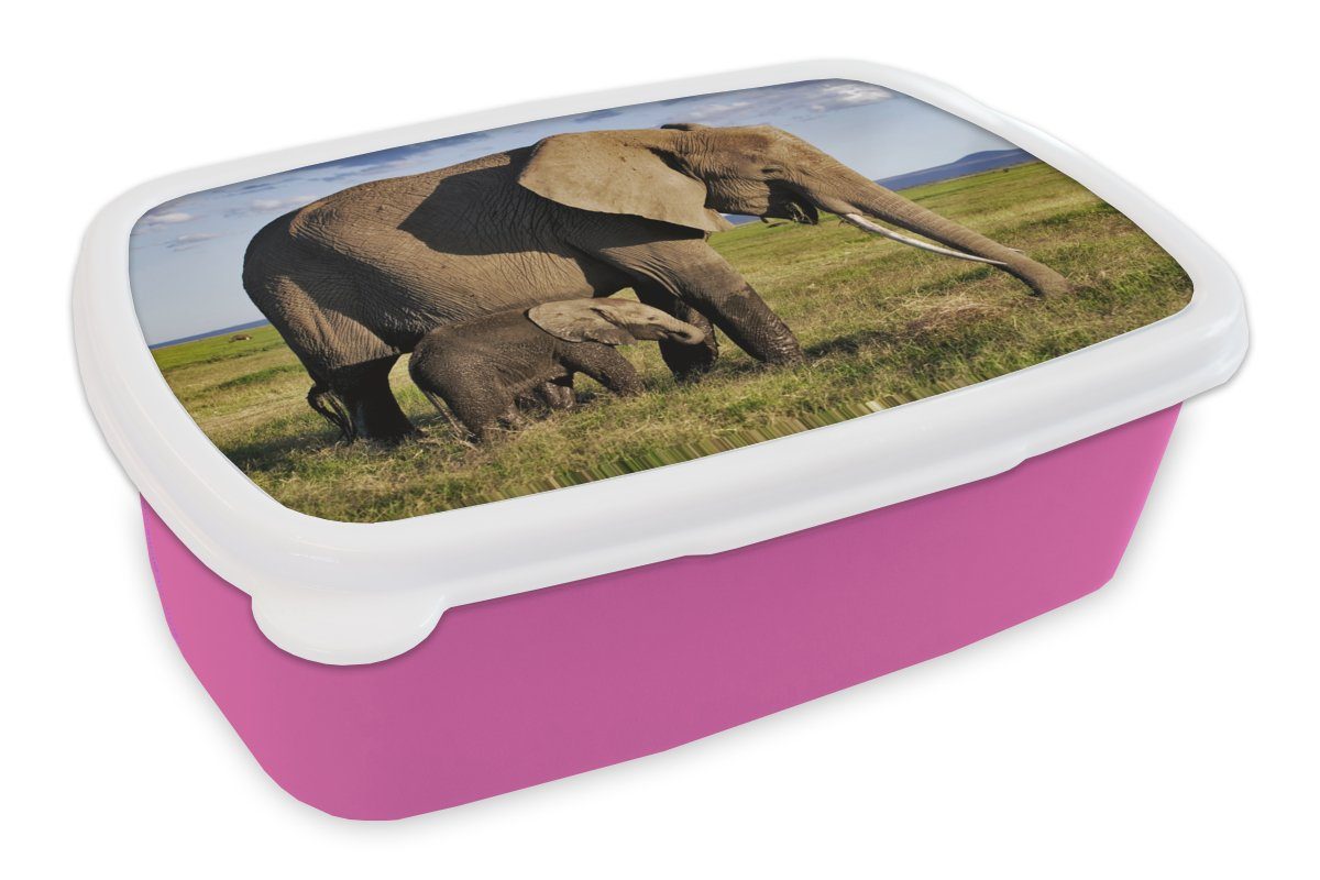 MuchoWow Lunchbox Elefant - Tiere - Grasland - Grün - Grau, Kunststoff, (2-tlg), Brotbox für Erwachsene, Brotdose Kinder, Snackbox, Mädchen, Kunststoff rosa | Lunchboxen