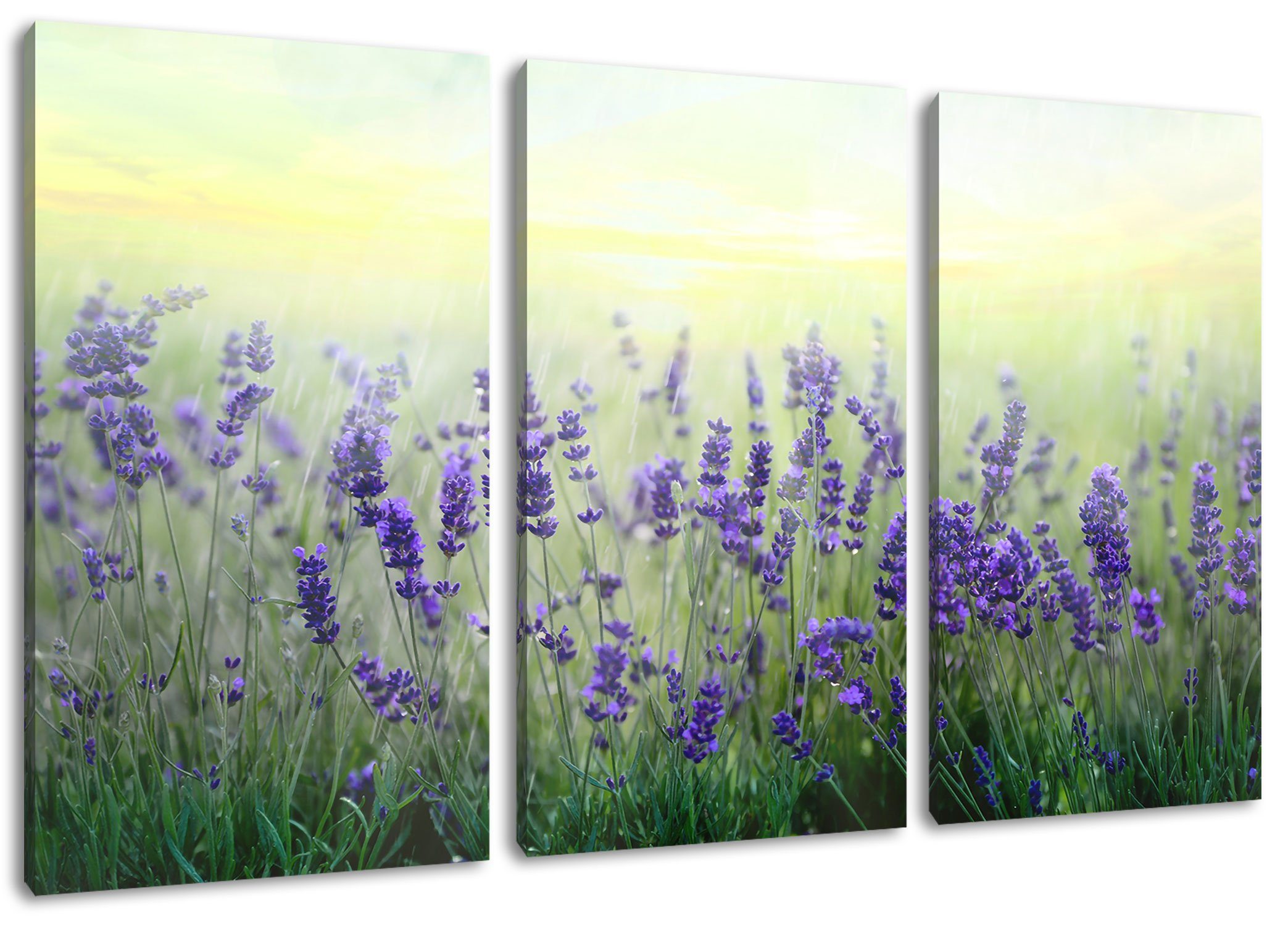bespannt, 3Teiler fertig Pixxprint inkl. Regen Regen, im Lavendel Lavendel Leinwandbild Zackenaufhänger Schöner St), Leinwandbild im Schöner (1 (120x80cm)