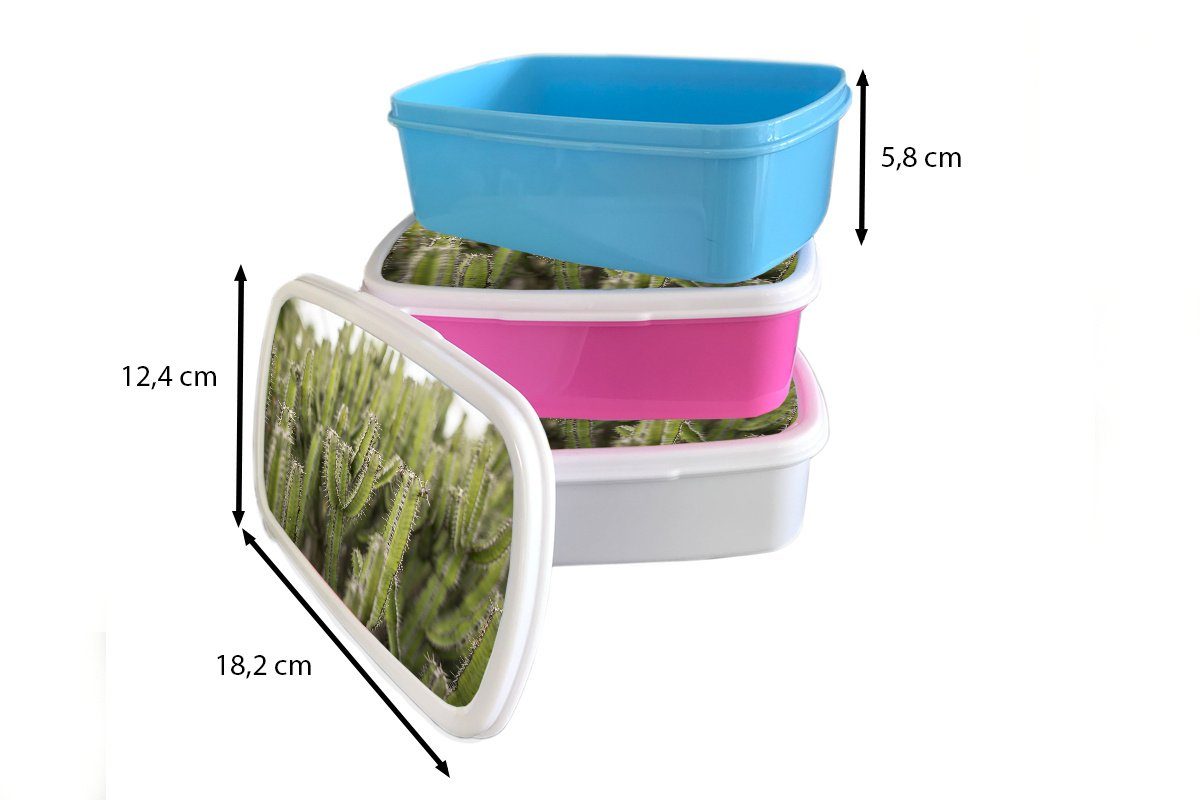 Lunchbox MuchoWow rosa für Mädchen, (2-tlg), von Brotdose Snackbox, Kunststoff, Erwachsene, Brotbox Kinder, Kaktuspflanzen, Kunststoff Gruppe